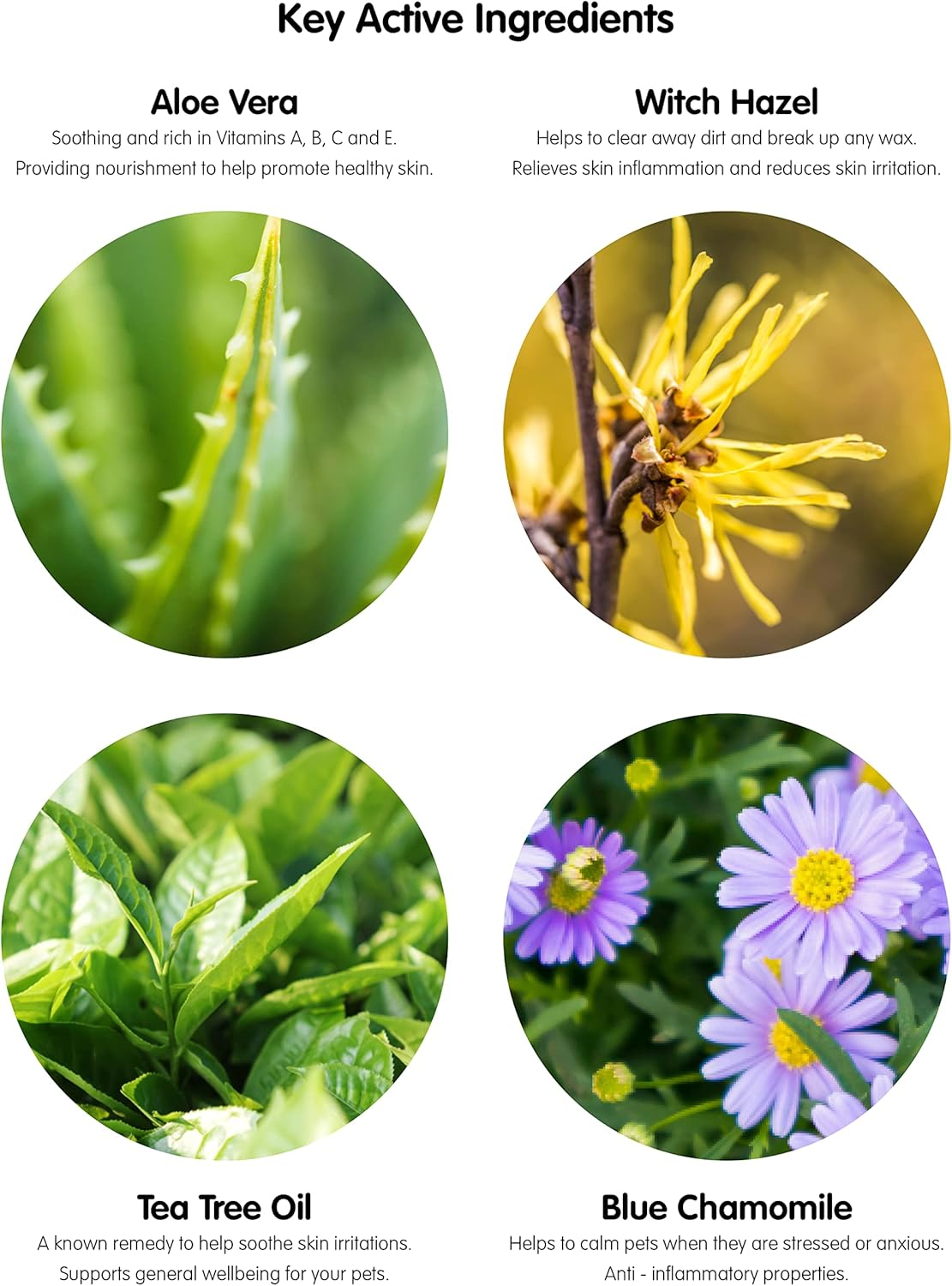 Pet Wiz Ear Wipes for Dogs & Cats. Clean, Soothe & Deodorise with Natural Active Ingredients Aloe Vera, Witch Hazel, Tea Tree Oil and Blue Chamomile Extract. image number 6