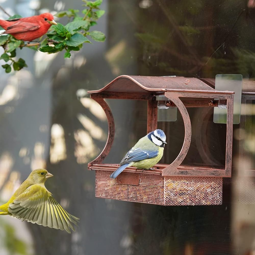 Upgraded Window Bird Feeder with Strong Suction Cups &ndash; Durable Metal Outdoor Bird Feeder for Birdwatching, Cat Entertainment & Nature Lovers &ndash; Easy-To-Clean, Shatterproof Design image number 4