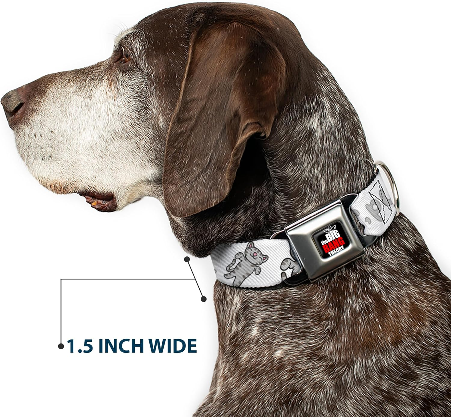 Buckle-Down Seatbelt Buckle Dog Collar - Soft Kitty Purr, Purr, Purr - 1" Wide - Fits 15-26" Neck - Large image number 5