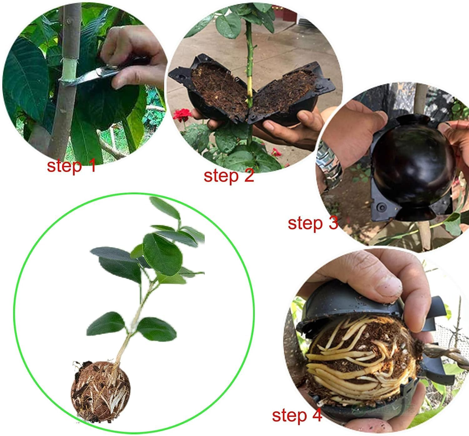 Plant Root Growing Box - 10Pcs Assisted Rooting Device, Reusable High Pressure Propagation Balls for Plants, Grafting Box, Medium