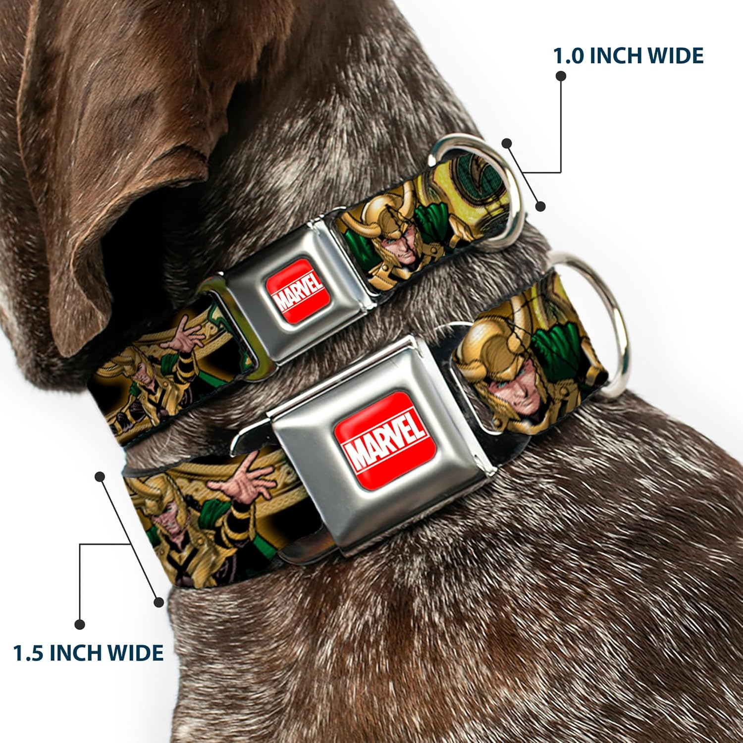 Buckle-Down Seatbelt Buckle Dog Collar - Loki Poses Black/Gold/Green - 1" Wide - Fits 15-26" Neck - Large