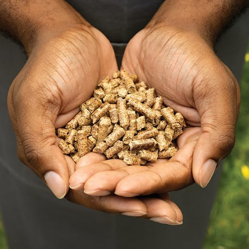 Ninja Robust Blend Woodfire Pellets, 900 G