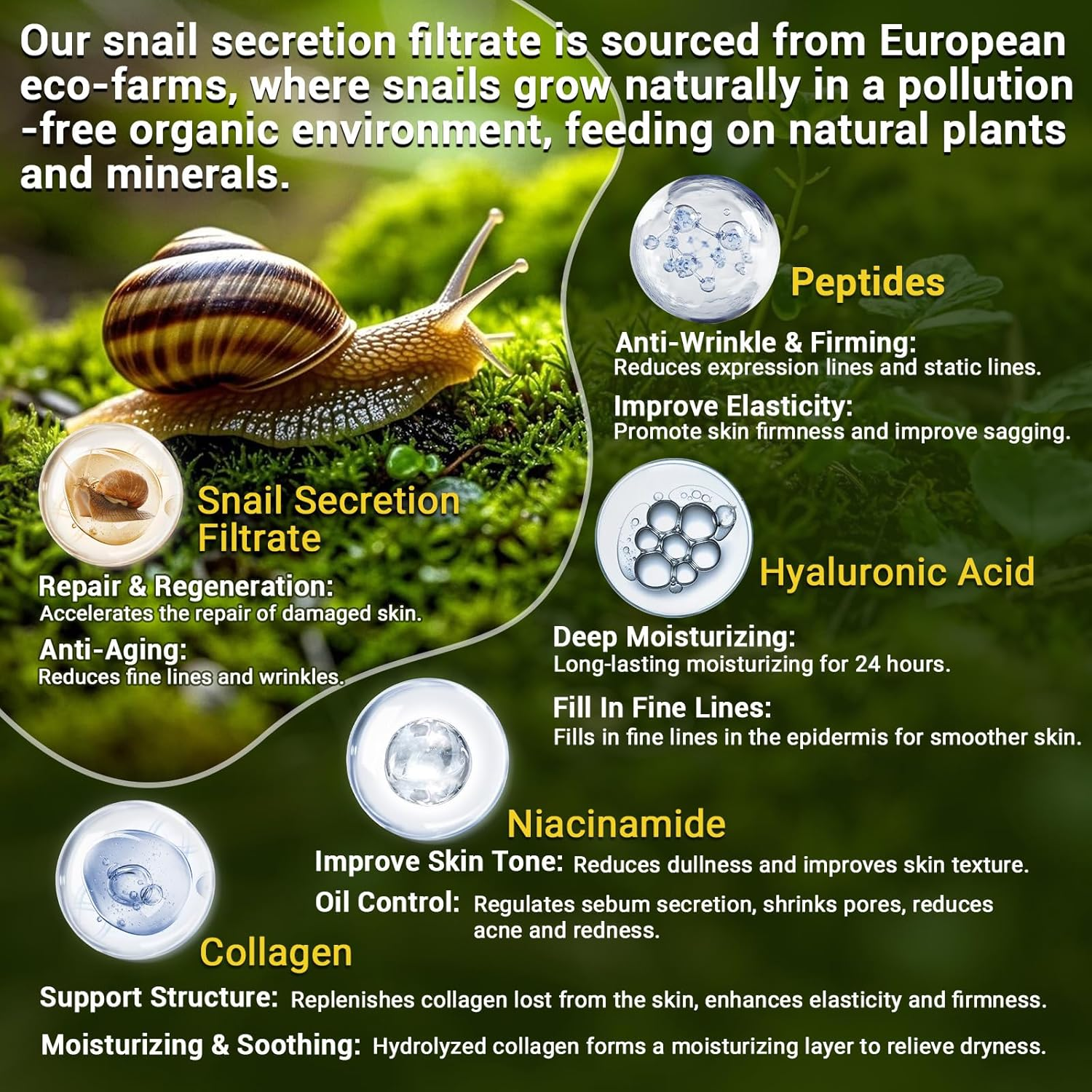 Snail Mucin 96% Skincare Set - Anti-Aging Serums & Snail Mucin 92% Cream - Advanced Snail 96% Mucin Power Essence Hydrates, Reduces Wrinkles & Fine Lines - 3PCS Korean Skincare Set for All Skins image number 3