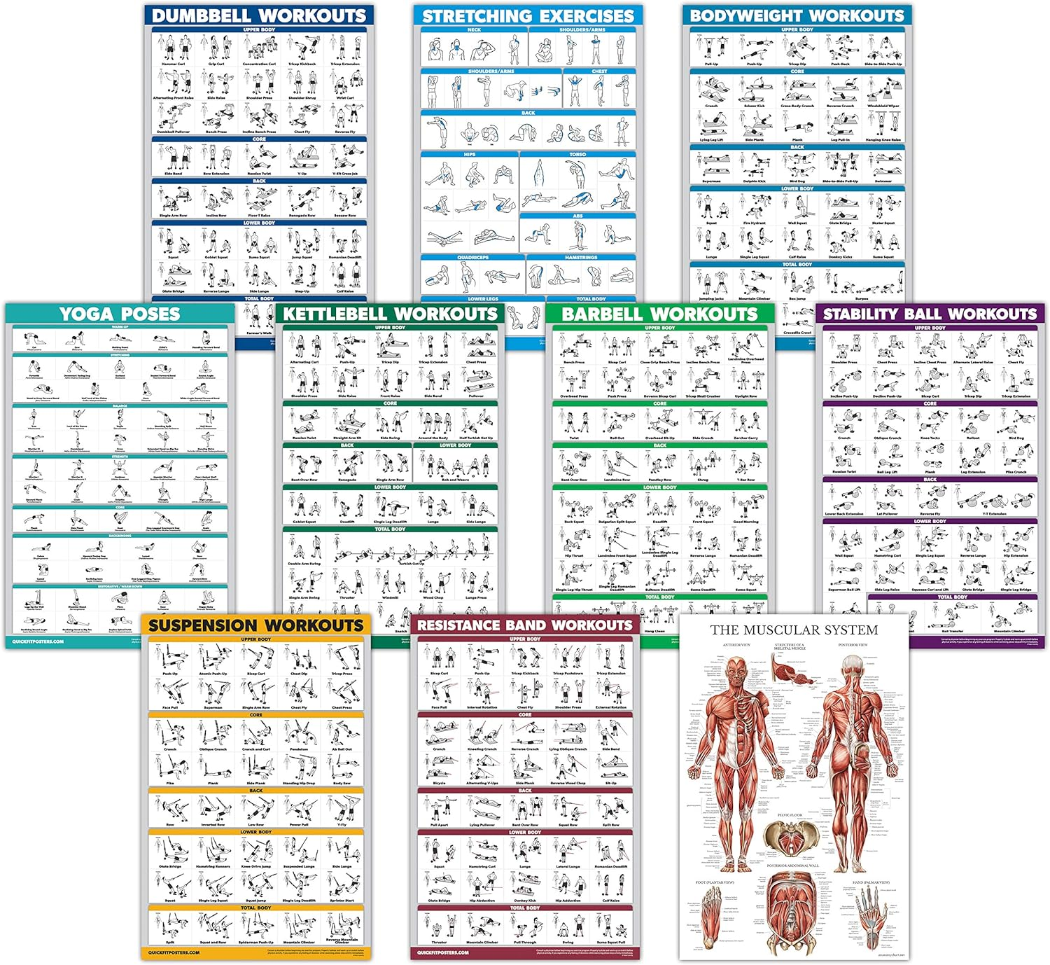 10 Pack - Exercise Workout Poster Set - Dumbbell, Suspension, Kettlebell, Resistance Bands, Stretching, Bodyweight, Barbell, Yoga Poses, Exercise Ball, Muscular System Chart (LAMINATED, 18" X 27")