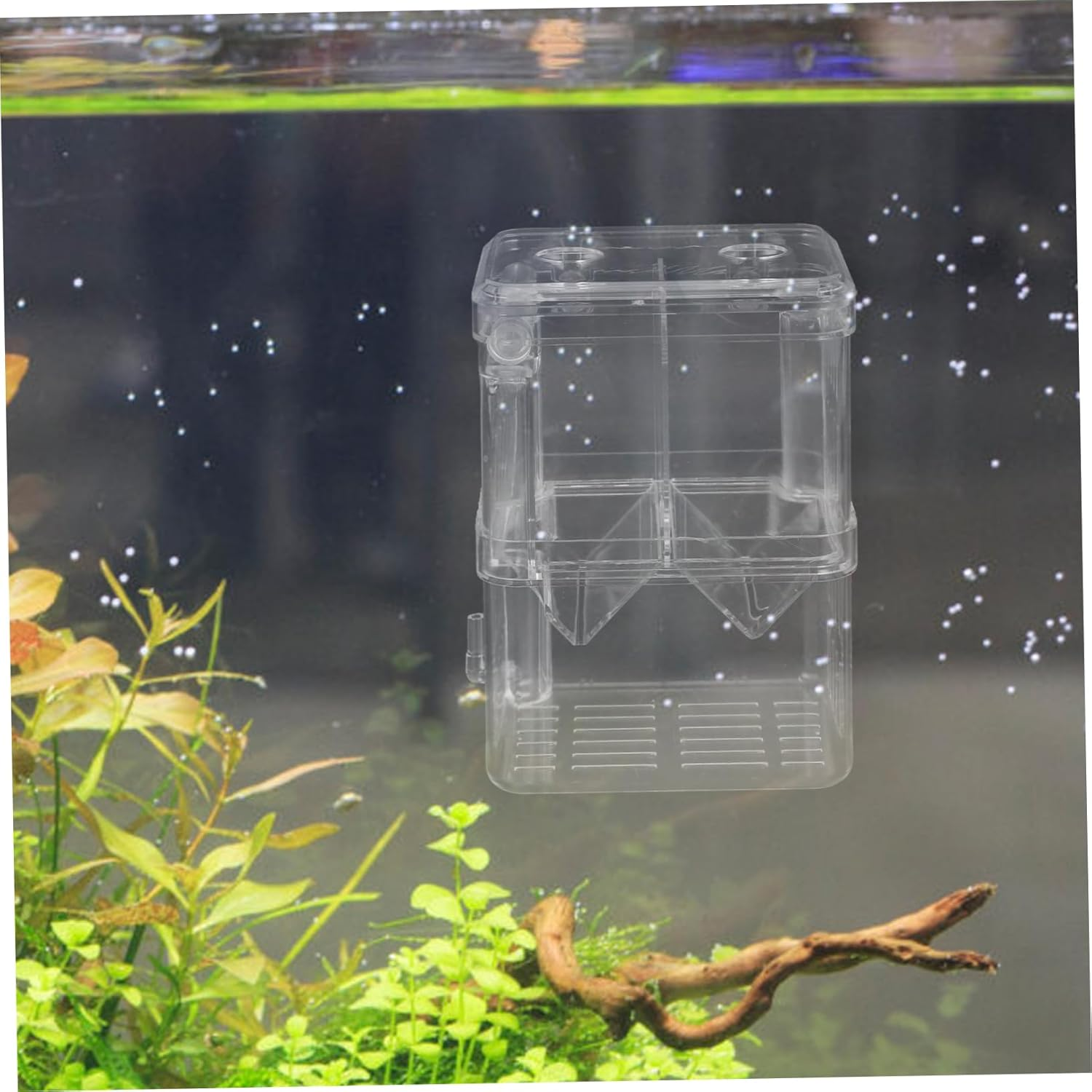 EXHUMKY Fish Breeding Box Durable Isolation Tank with Suction Cups for Shrimp Fish Hatchery Injured Care Multi Purpose Aquarium Incubator for Small Aquatic Pets image number 3