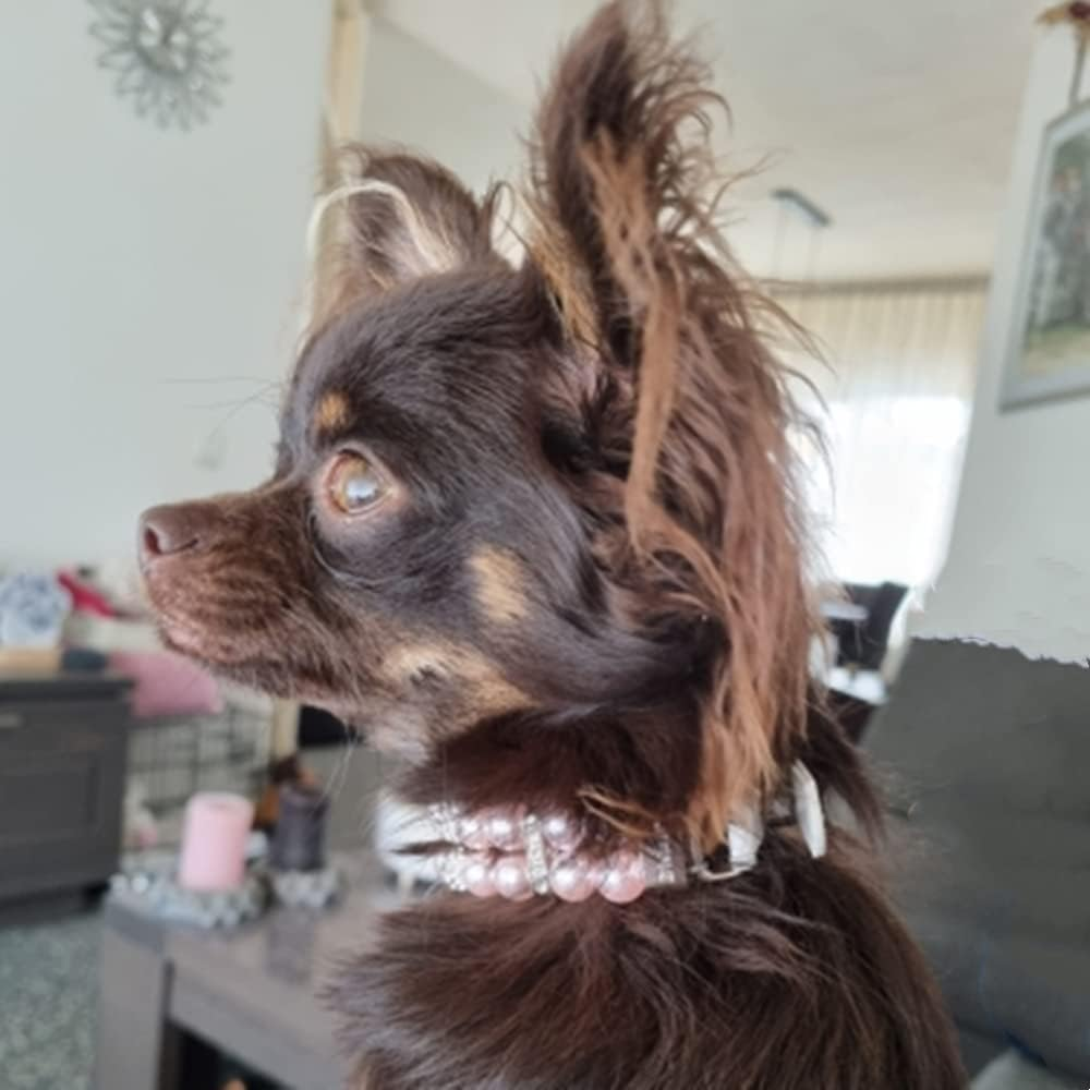 MOTTDAM Bling Rhinestone Pet Dog Jewelry Chihuahua Collar, Pearl Collars, Collar Leather, Necklace Crystal Jewellery Christmas Decor for Puppies Cat Pet(L Pink 1.5X37CM) image number 1