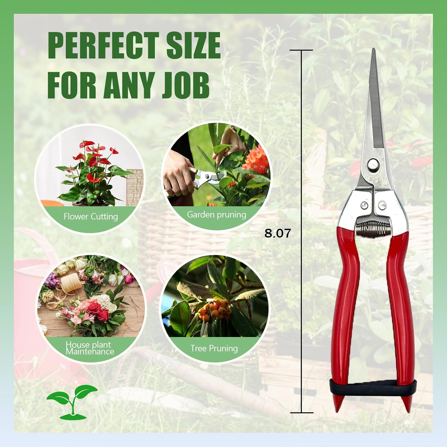 Straight Stainless Steel Pruner Pruning Shears Clippers Snips &ndash; Sharp Bonsai Cutter Plant Trimming Scissors &ndash; Straight Blade Garden Scissors Tool &ndash; Great for Roses Flowers Herbs Fruits image number 5
