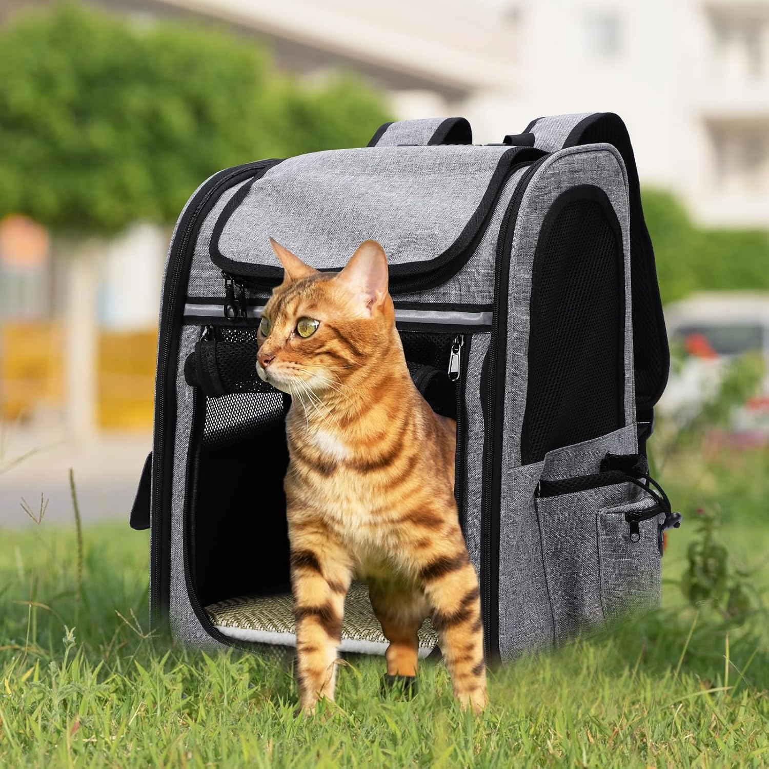 Expandable Cat Backpack - Dog Backpack up to 8 Kg, Foldable Cat Backpack for Cats Dogs with Inner Safety Lead and Pet Mat Cat Transport Bag Max 42 X 28 X 60 Cm Grey image number 5