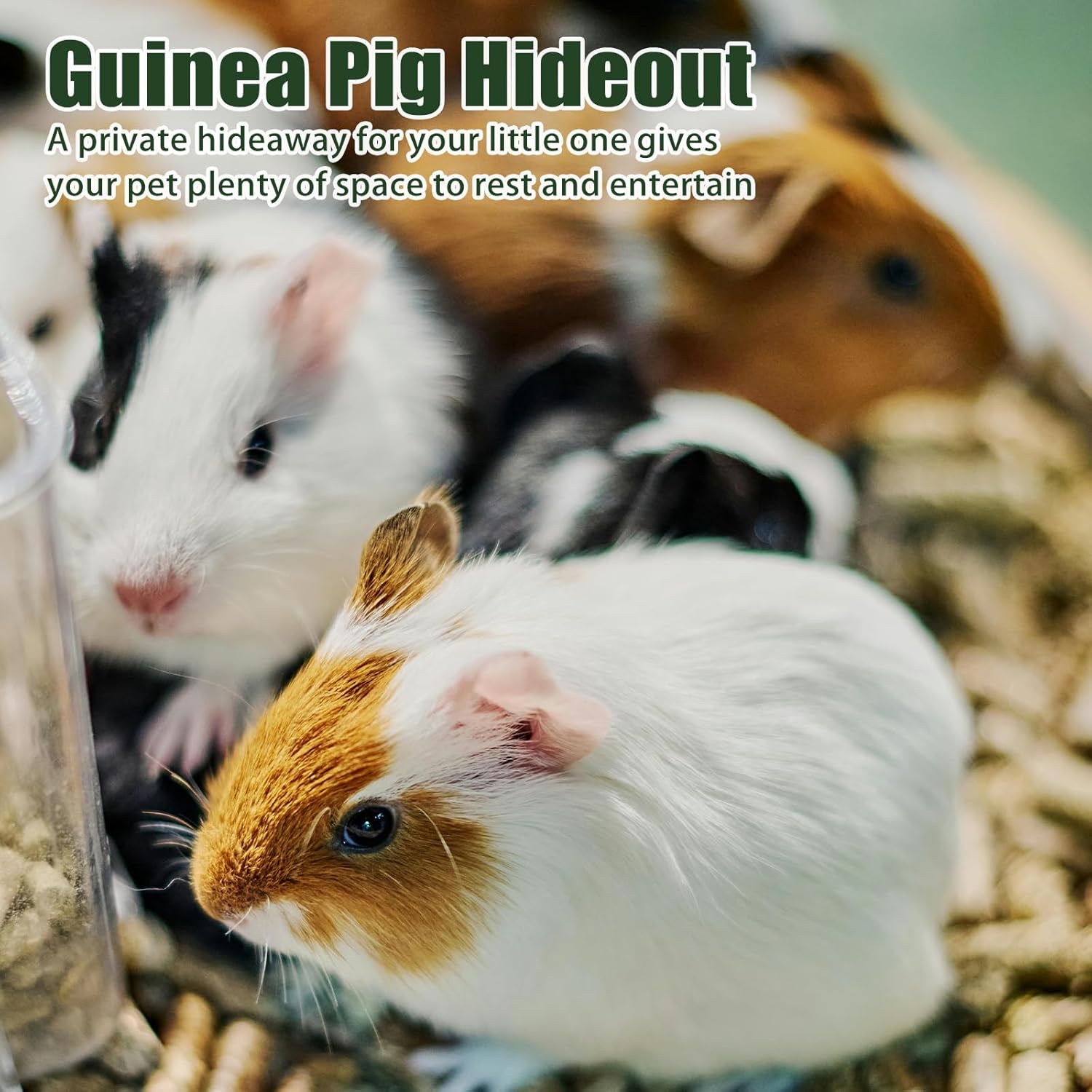 Guinea Pig Bed, Guinea Pig Forest Hideaway, Corner Hammock Small Animals Hideaway, Small Animal Beds, Cuddly Cave for Ferrets, Chinchillas, Hedgehog Hamsters and Gliders Rats image number 4
