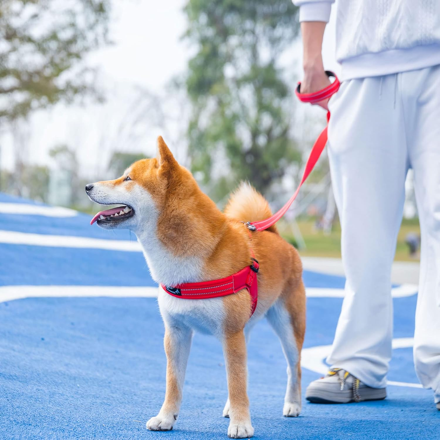 EXCELLENT ELITE SPANKER No Pull Dog Harness Reflective Nylon Vest V-Shaped Soft Padded Adjustable Easy Pet Harness for Medium Large Breeds Dogs Walking Training Black Purple(Blue-M) image number 2