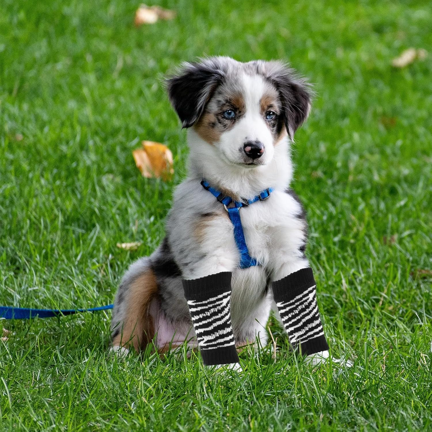 1 Set Dog Socks Dog Leg Warmers Adorable Dog Socks Zebra Elastic Socks for Dog Portable Dog Leg Protectors Dog Leg Sleeve Washable Pet Socks Leggings Breathable Cotton (Style 1, L) image number 2