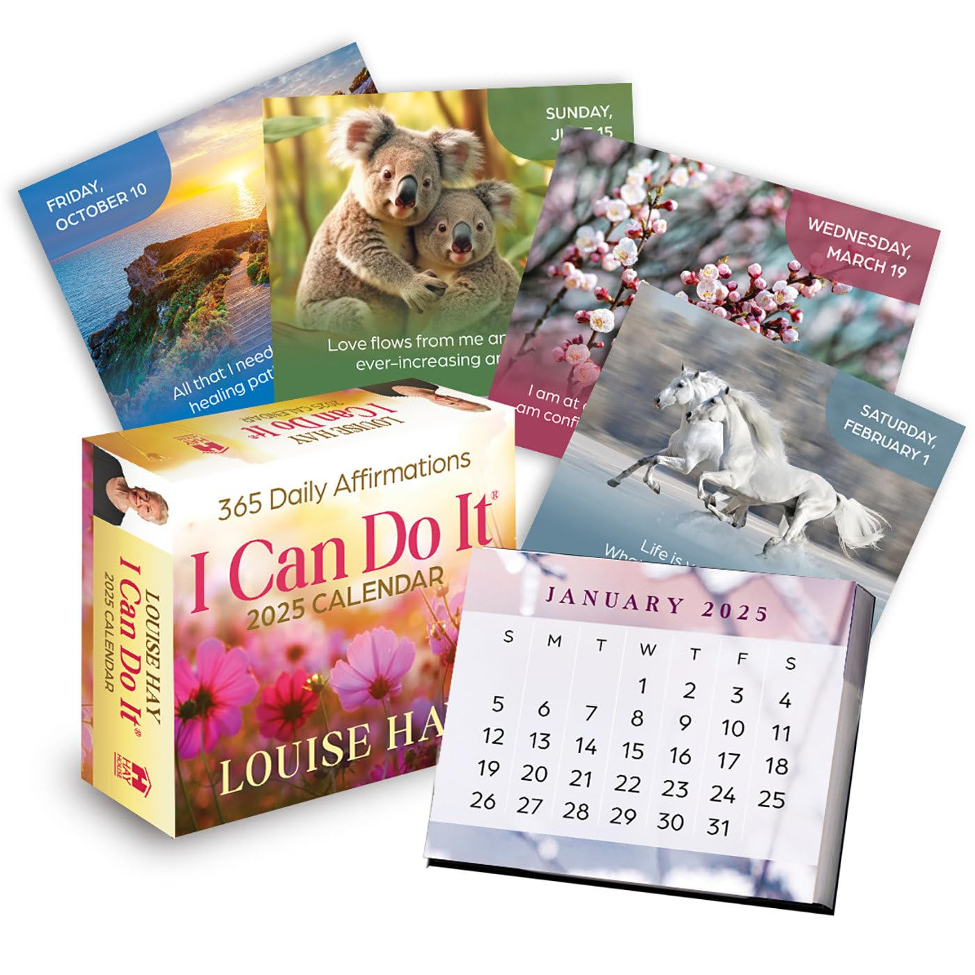 I Can Do It&reg; 2025 Calendar: 365 Daily Affirmations