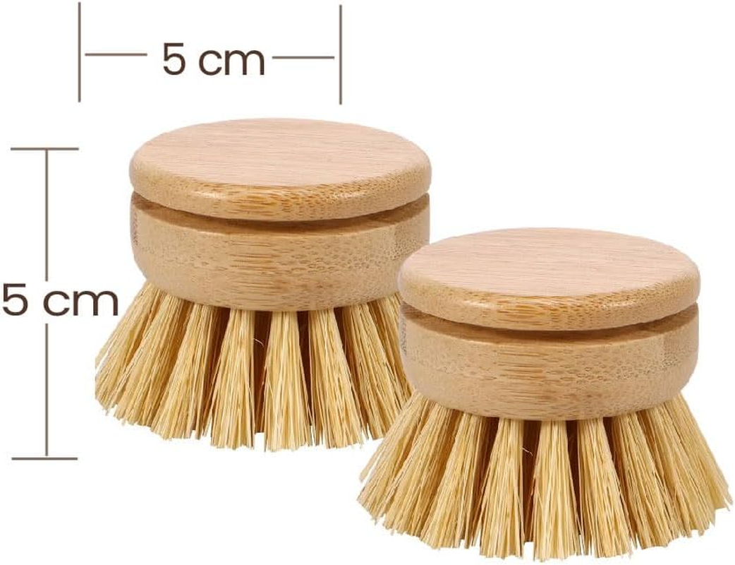Eco Basics Plastic Free Dish Brush Refills, 2 Pack - 5X5X4.5Cm, Natural Bamboo Base, Tough Tampico Fibers, Biodegradable, Easy Clip-On Design for Sustainable Cleaning image number 2