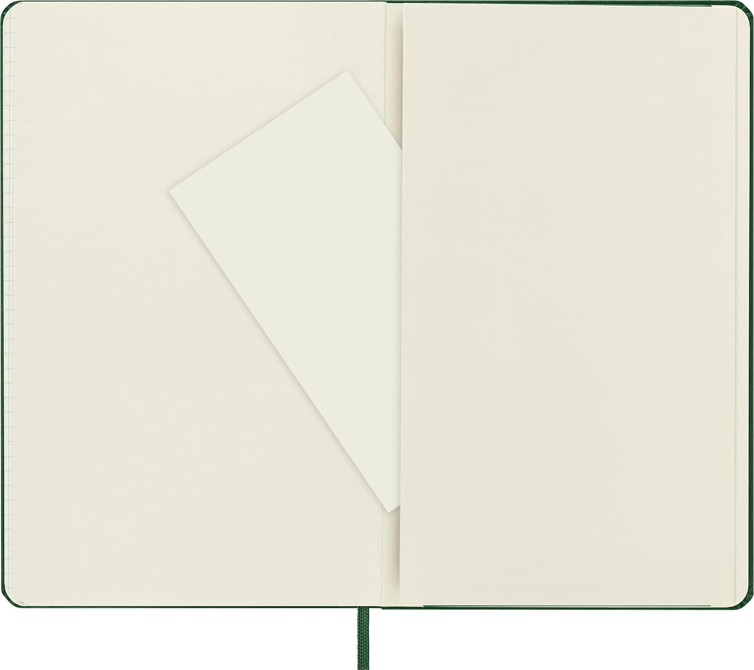 Moleskine - Classic Hard Cover Notebook - Grid - Large - Myrtle Green