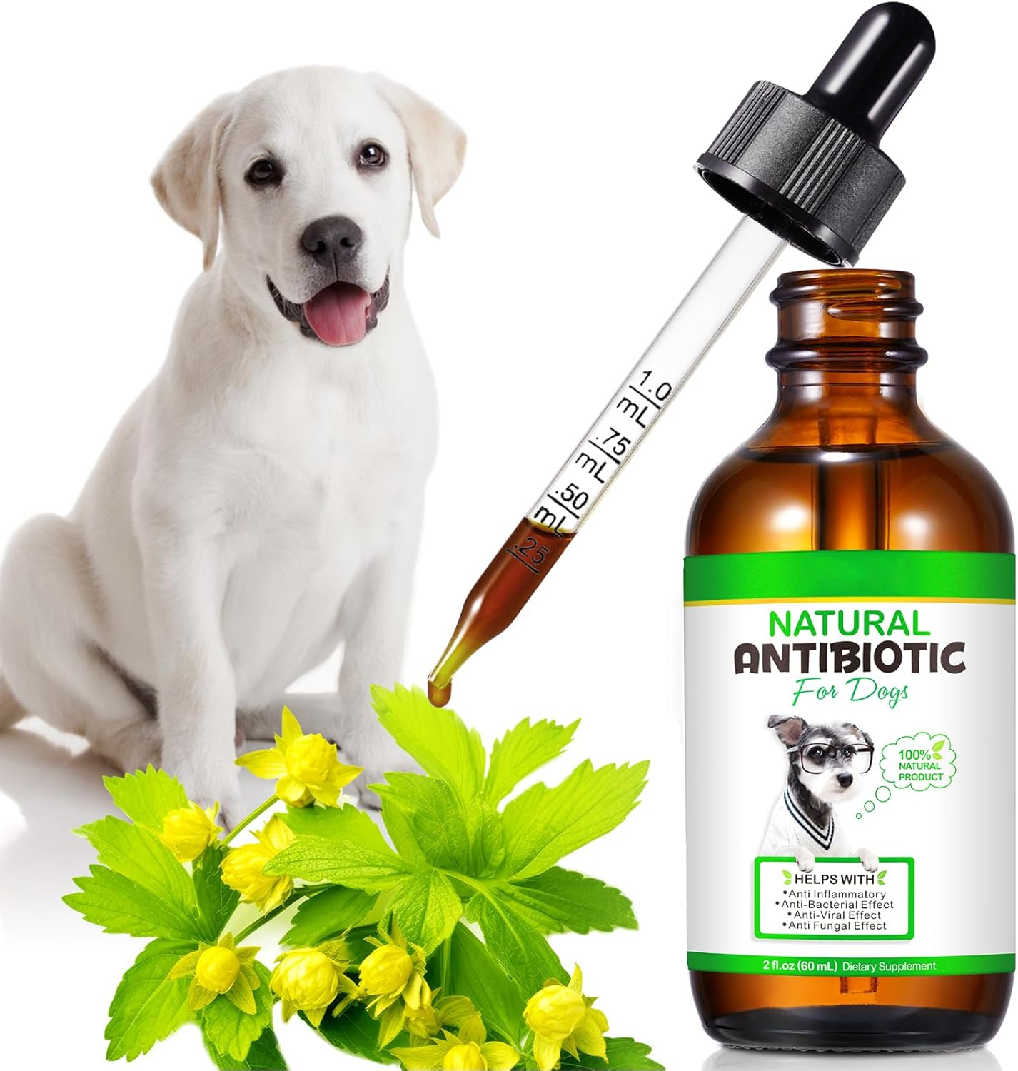 Natural Antibiotics for Dogs, Dog Antibiotics Drops, Herbal Ingredients, Promotes Gut Health, Strengthen Immune Function, Support Seasonal Allergy, Enhances Health & Vitality, 60Ml