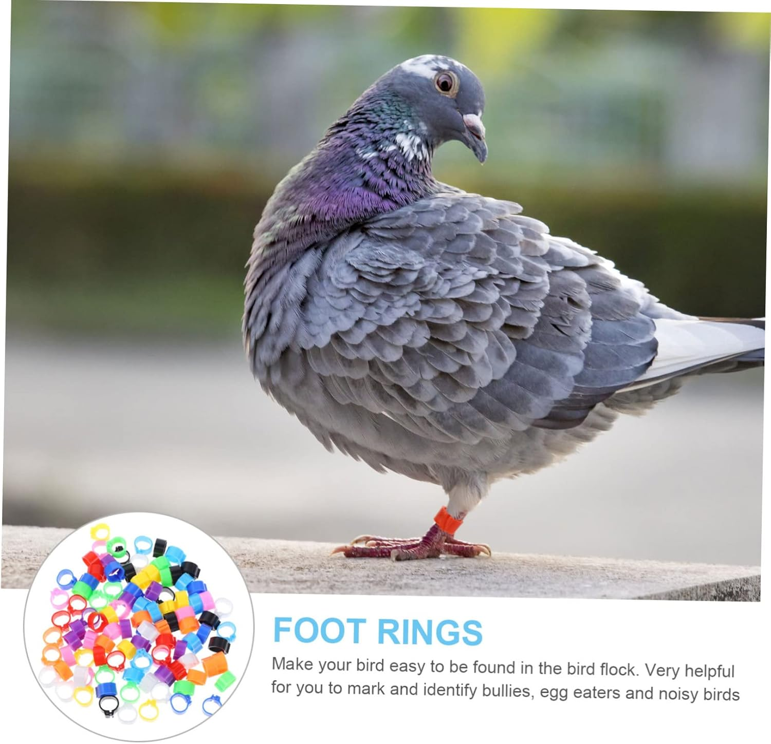 OATIPHO 100Pcs Pigeon Identification Leg Rings Foot Bands for Pigeons Parrots Cockatiels More Easy Bird Marking and Management image number 5