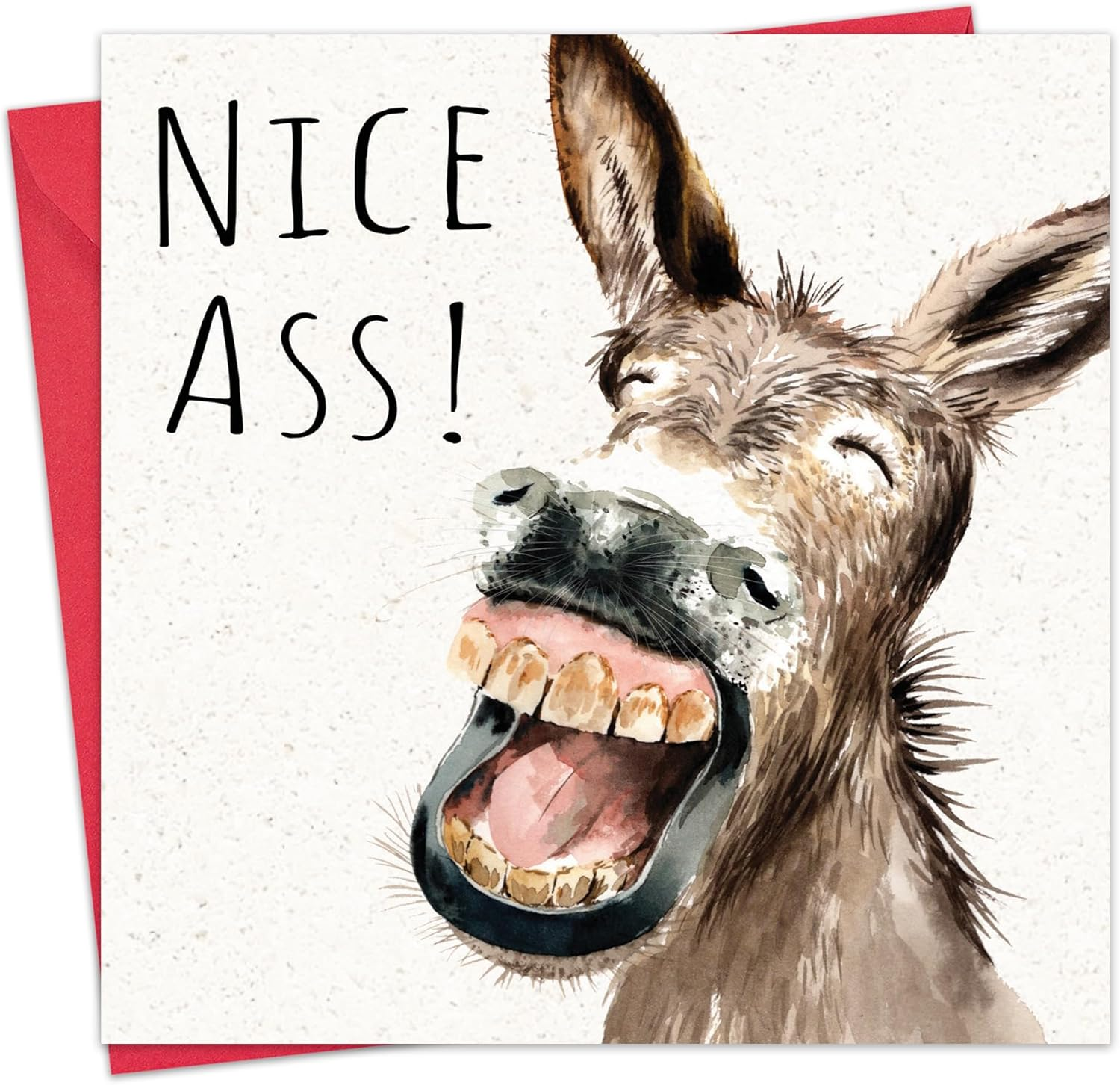 Twizler Funny Valentine'S Day Card with Donkey - Valentine Card for Husband Wife or Boyfriend Girlfriend - Valentine'S Card for Him Her or Fianc&eacute; Fianc&eacute;e Partner image number 6