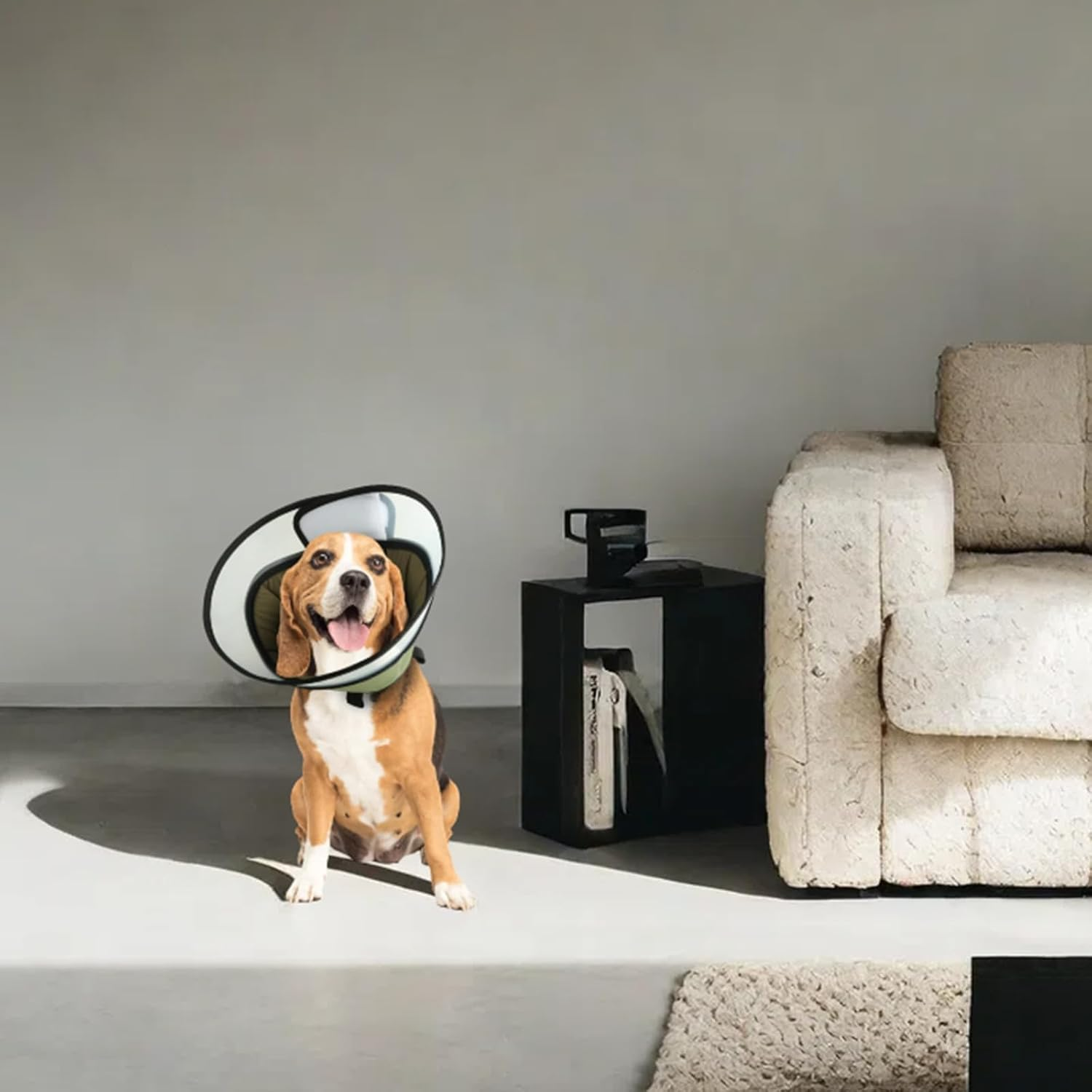 Soft Dog Cone after Surgery, Elizabethan Recovery Collar Protective and Wound Heal, Adjustable Dog E-Collars Anti-Bite Lick for Small Medium Large Pets Green (Green, M (Neck: 20-30.5Cm)) image number 4