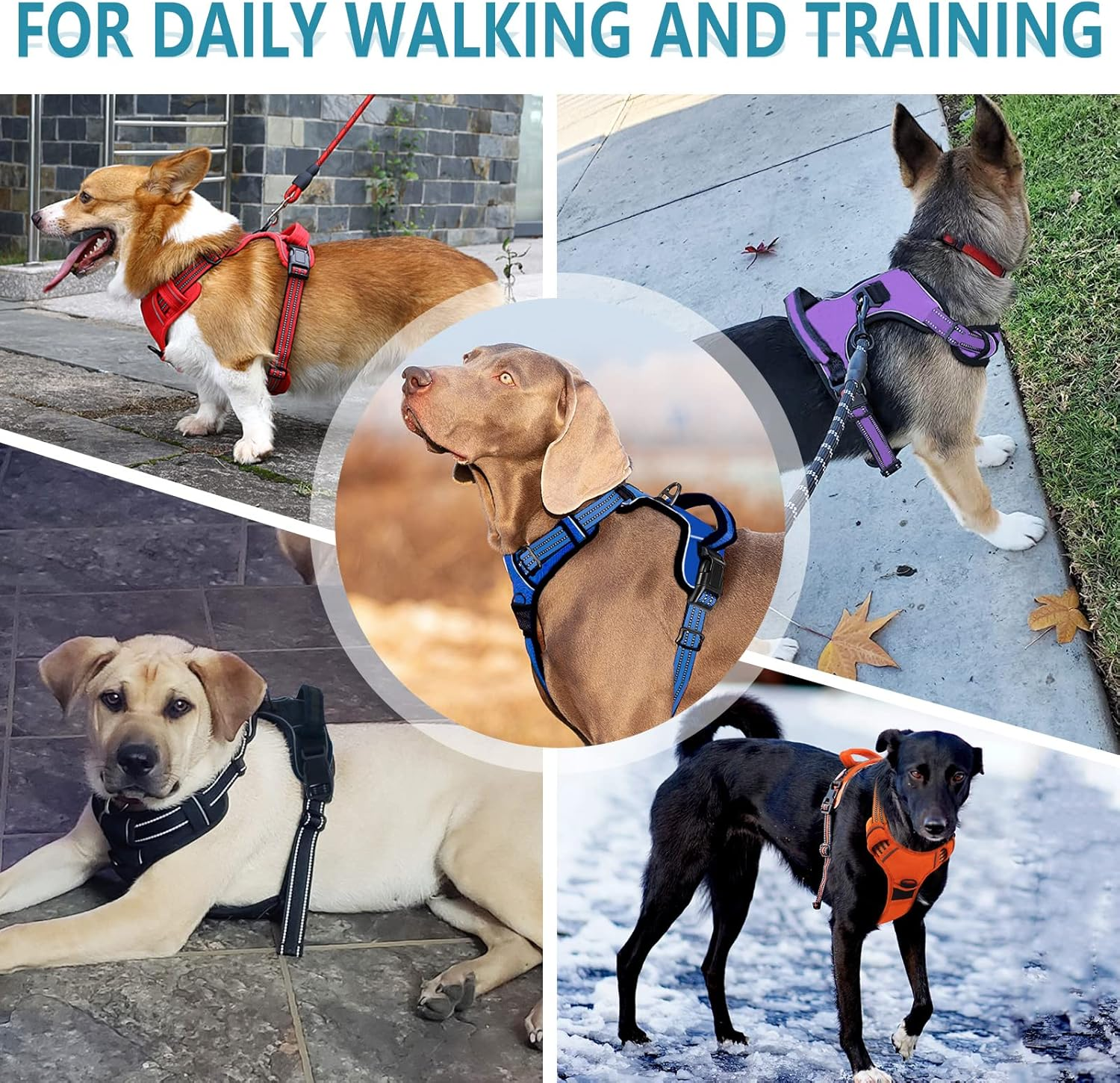 No Pull Dog Harness for Small Medium Large Dogs Adjustable Reflective Pet Vest with Front Clip Padded Harness for Dogs Easy Control Handle Best for Outdoor Training and Walking Orange S - Medium, Black Harness+Leash image number 1