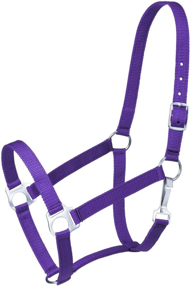 Tough 1 Economy Halter