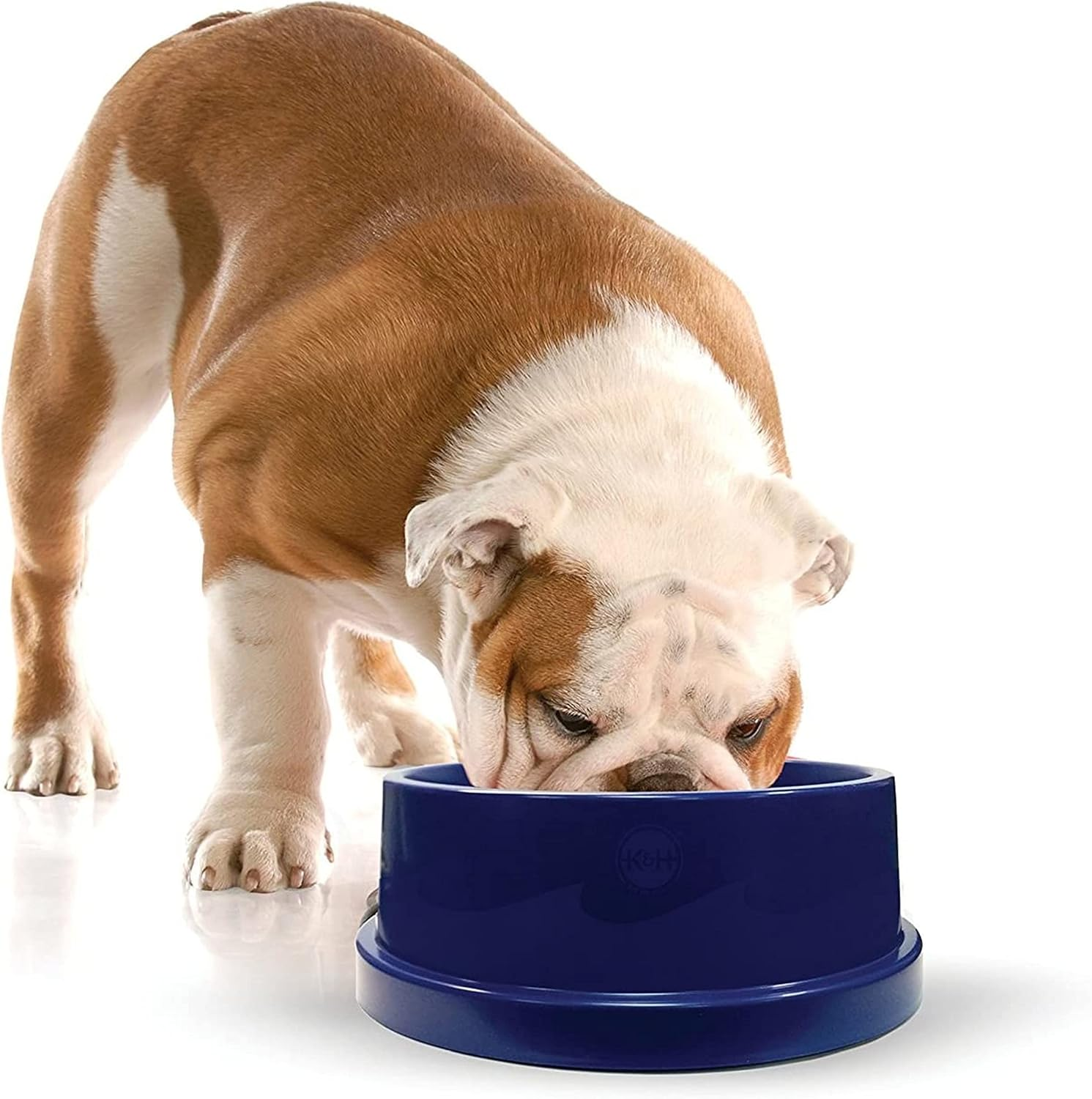 K&H Pet Products Coolin' Pet Bowl Cooling Dog Bowl Pet Water Dish for Large Medium Small Breed Dogs & Cats, Indoor/Outdoor Insulated Ice Cold Dog Bowl - Cooler Blue 96 Ounces image number 5