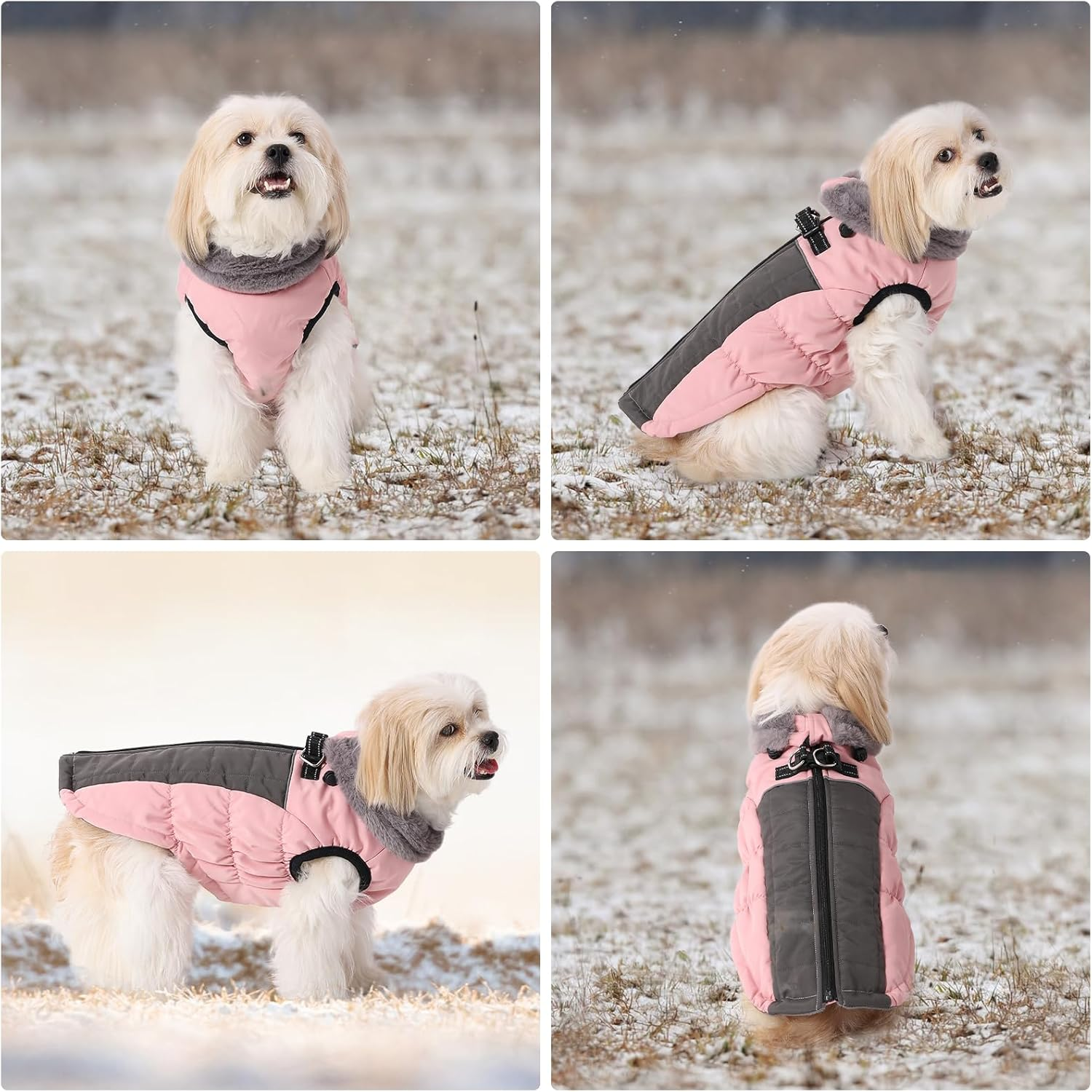 Savlot Dog Coats for Cold Weather, Cosy Windproof Winter Dog Jacket, Thick Padded Warm Vest with Harness for Puppies, Small, Medium and Large Dogs (XS, Pink) image number 4