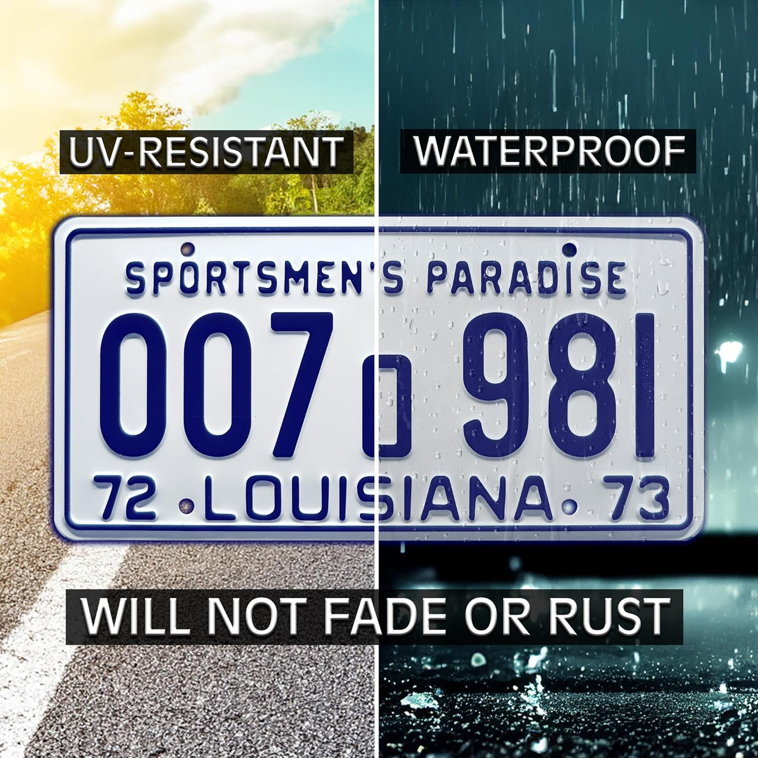 Jaws | Shark Autopsy | Metal Stamped License Plate