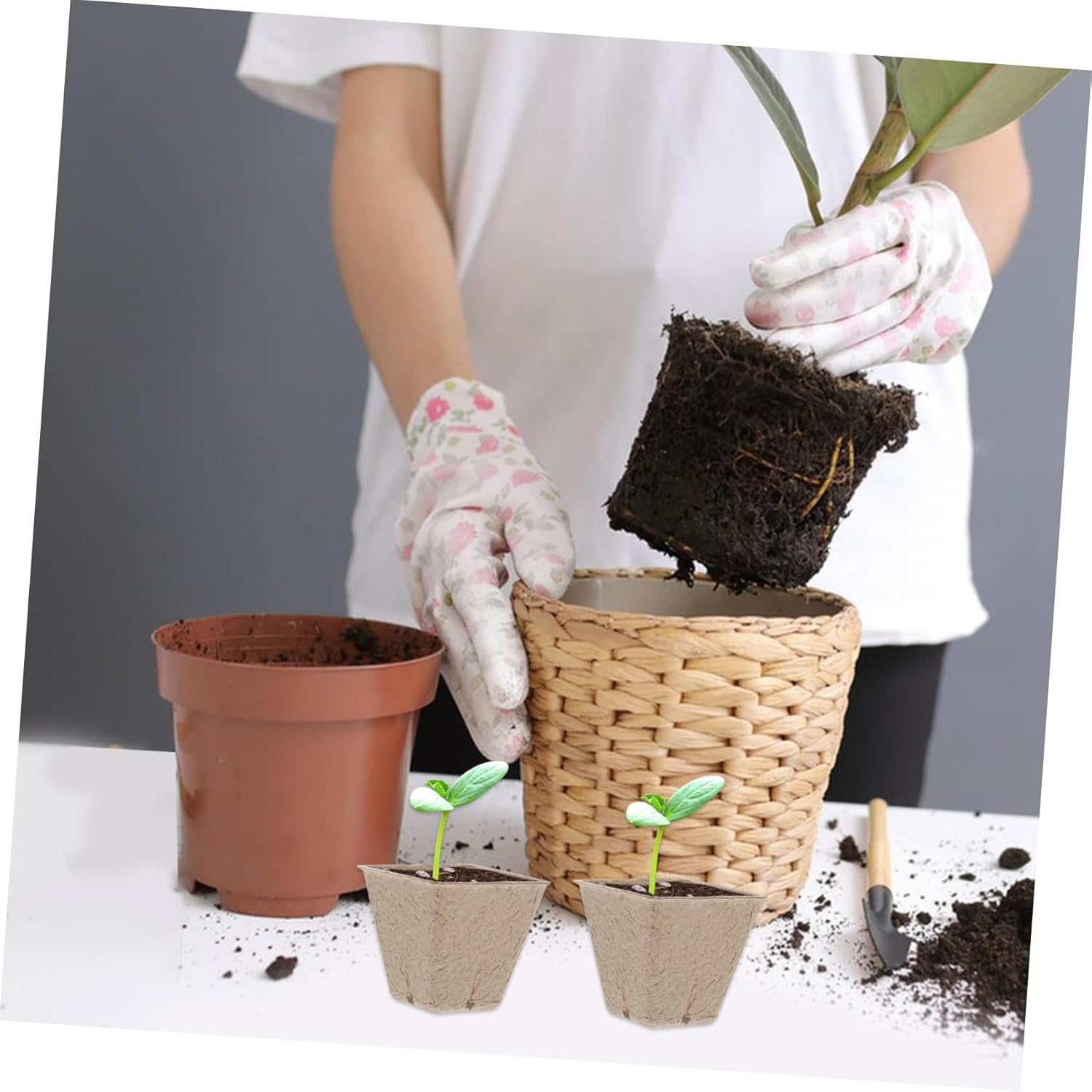 Happyyami 50Pcs Boys and Girls Paper Seedling Pots DIY Flower Pot for Gardening Drainage Holes image number 4