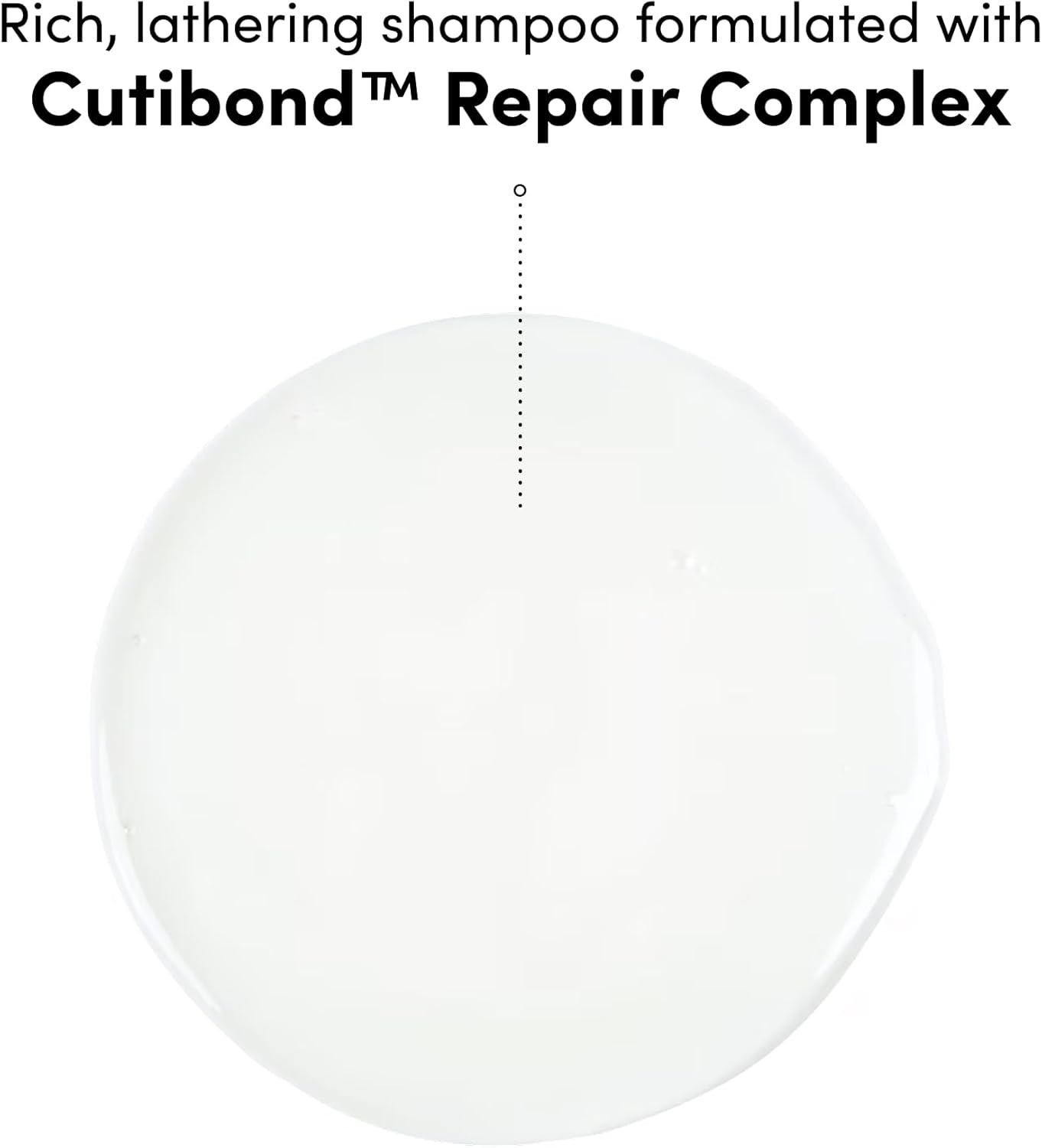 Coco & Eve Bond Therapy Pro Bond Shampoo. Strengthens and Repairs Hair Bonds with Less Breakage. Hydrating & Fortifying Shampoo for Damaged, Chemically Treated Hair. (280 Ml) image number 5