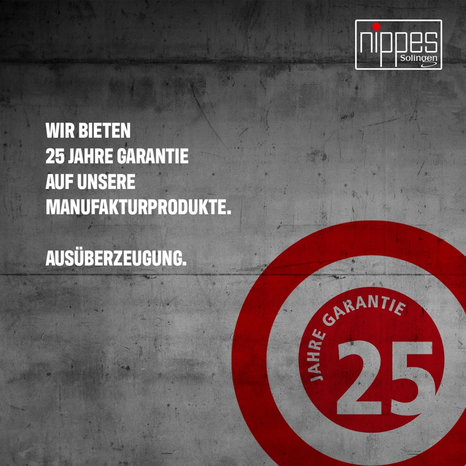 Nippes Solingen Tweezers with Slanted Tip, Stainless Steel, 9.5 Cm, Matte Silver, Eyebrow Plucking, Tweezers Pointed, for Precise Hair Removal, Made in Germany image number 6