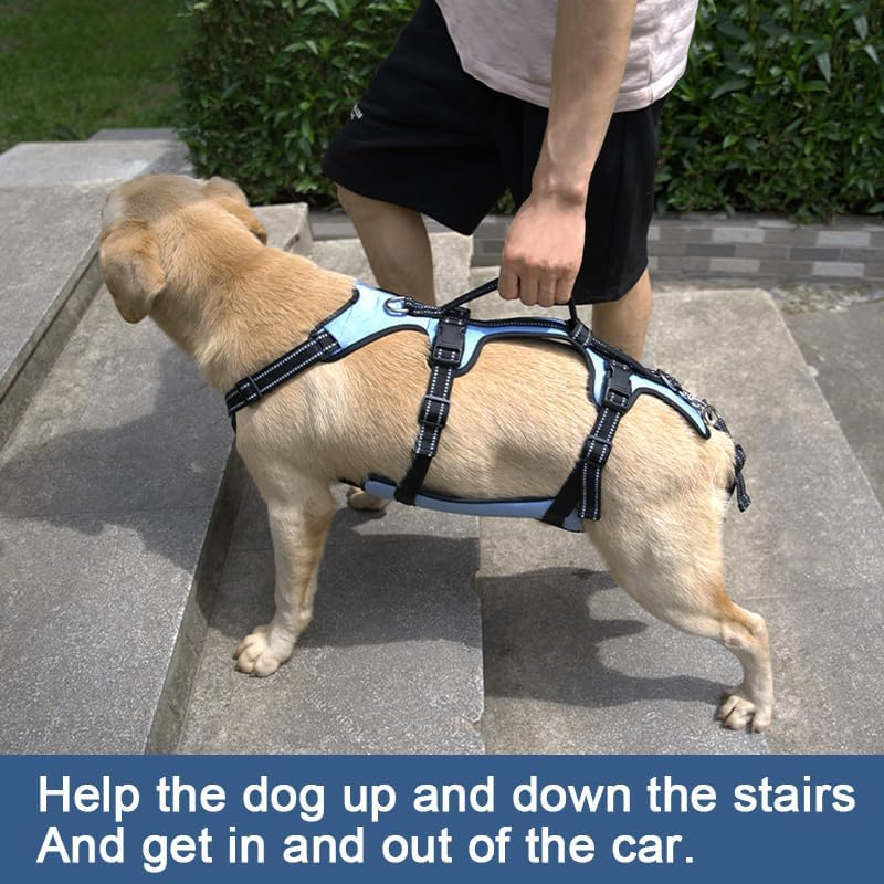 COODEO Dog Lift Harness, Support & Recovery Sling, Pet Rehabilitation Lifts Vest Adjustable Breathable Straps for Old, Disabled, Joint Injuries, Arthritis, Paralysis Dogs Walk (Xxlarge) image number 3