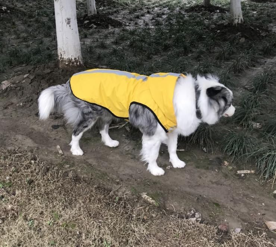 Dog Rain Coat with Waterproof Dog Clothes Dog Jacket, Pet Hoodie with Lightweight Reflective Strip Rain Dog Rain Coat Hooded Slicker (Yellow, X-Large) image number 6