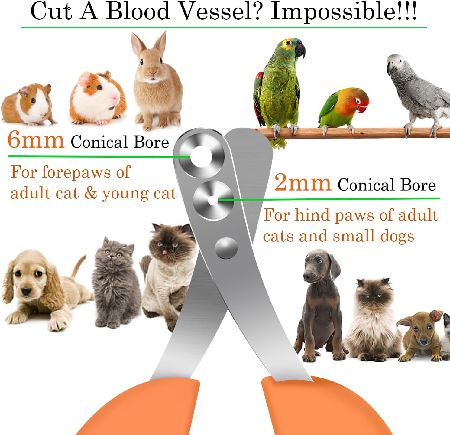 IFAN&trade; 2 Hole Claw Clippers for Different Age Pet Nail Clippers for Cats Can Avoid Cutting Blood Lines image number 1