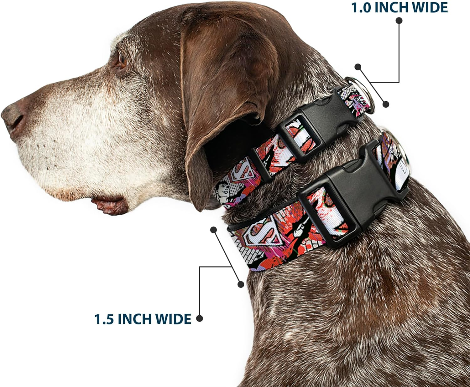 Buckle-Down Plastic Clip Dog Collar, Superman Colour Flying Bricks Scene, 15 to 26 Neck Size X 1.0 Inch Width image number 6