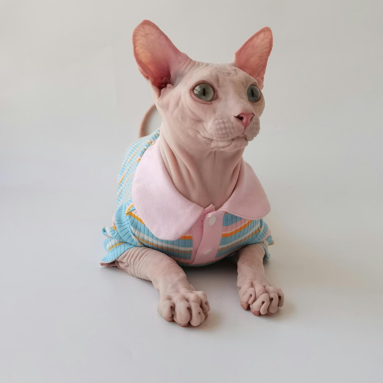IUOUTG Summer Sphynx Cat Shirt Soft Cotton Hairless Cat Clothes Color Stripes Kitten T-Shirt Short Sleeves Pullover Cat Pajamas Cat Daily Wear Clothes for Devon Cats Apparel