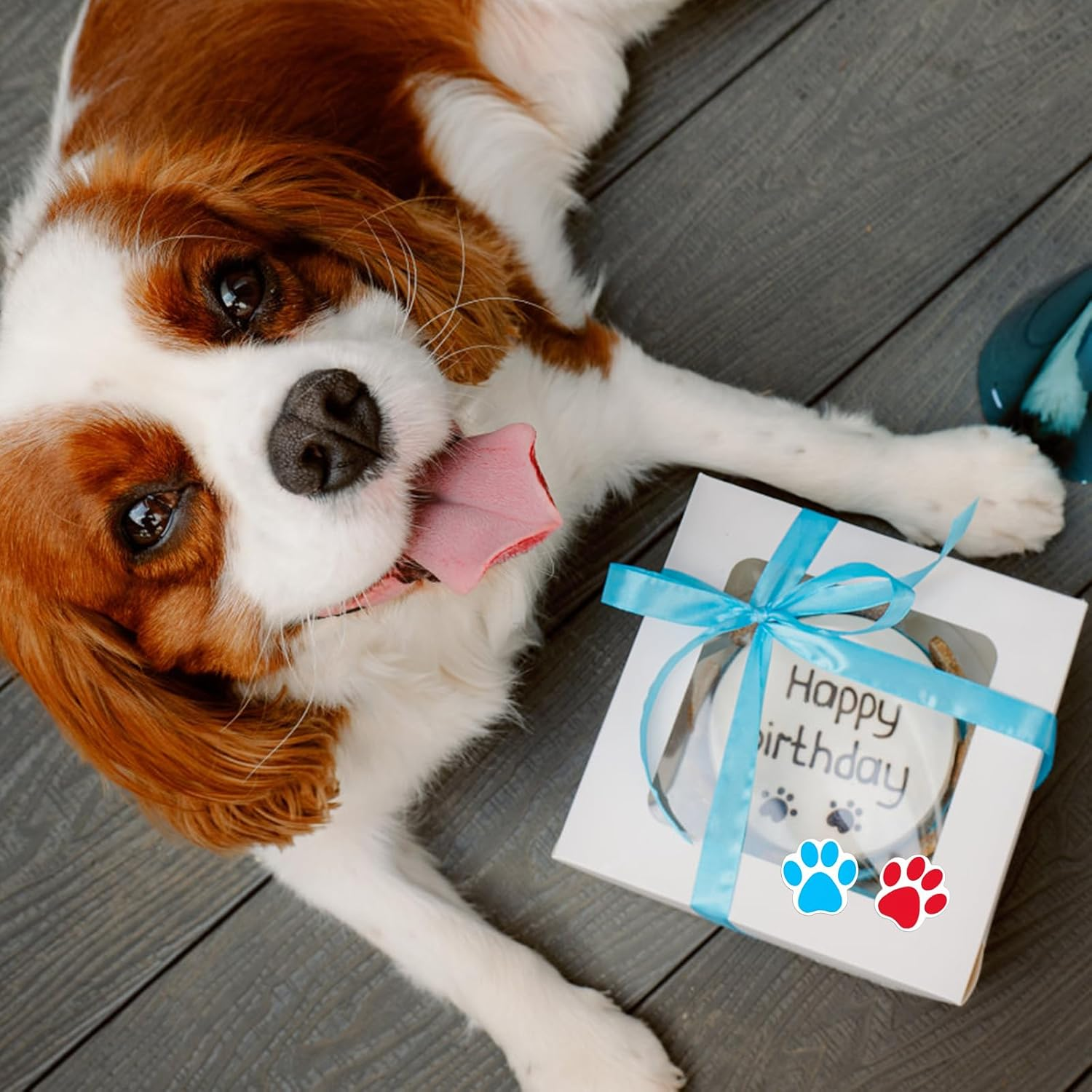 Dog Paw Print Stickers, Roll/1000Pcs Colorful Dog Paw Label Stickers, Bear Paw Animal Paw Print Stickers for Scrapbook Wall Decal Decoration image number 4