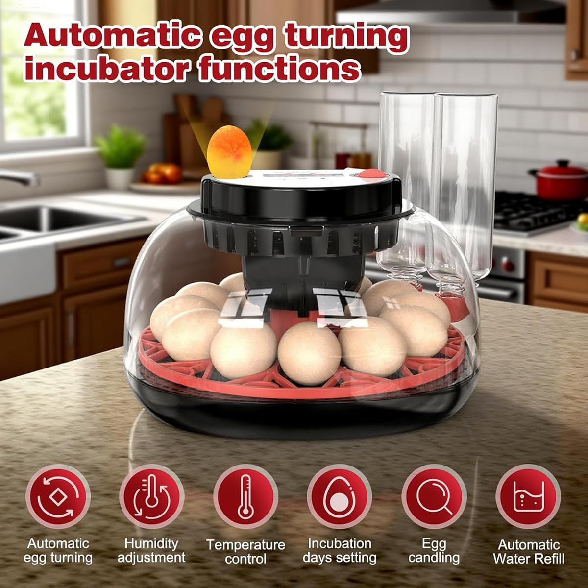 CLOUDSEASON Egg Hatching Incubator 12 Egg Capacity with Automatic Constant Temperature Humidity Control & Auto Egg Turning for Chickens Ducks Geese Quail Pigeons (European Plug)