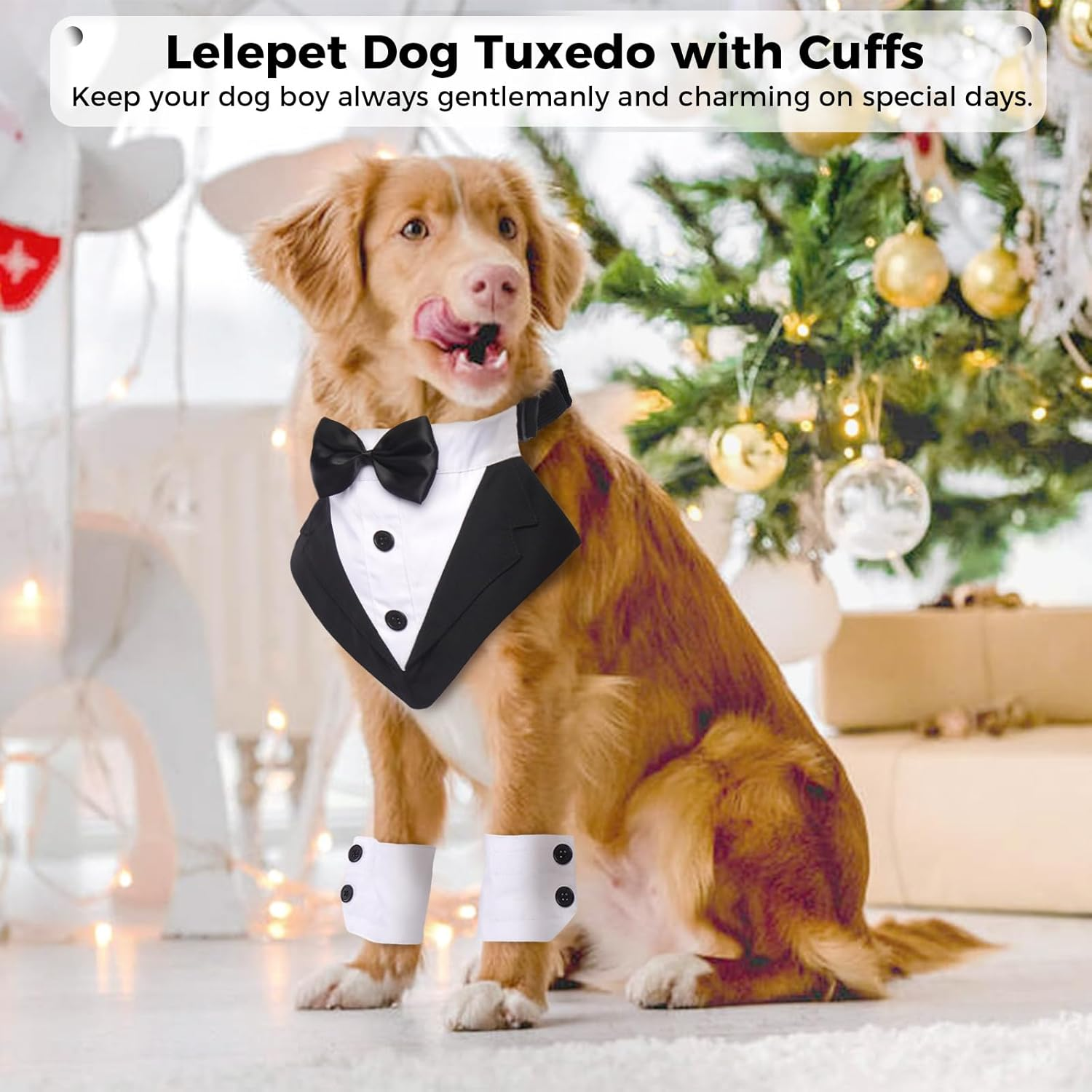 Lelepet Dog Tuxedo with Cuffs Dog Weeding Bandana Collar with Bowtie Adjustable Dog Tux with D-Ring Puppy Birthday Outfit Party Engagement Costume for Small Medium Large Dogs image number 4