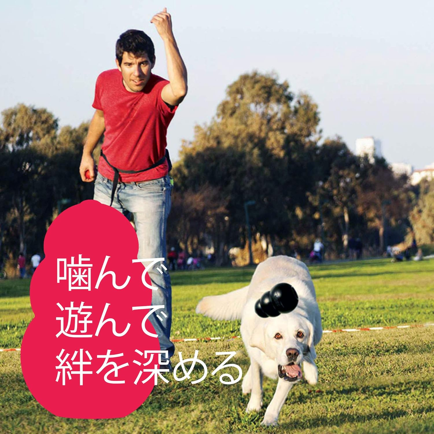 Kong Dog Toy Kong Medium image number 1