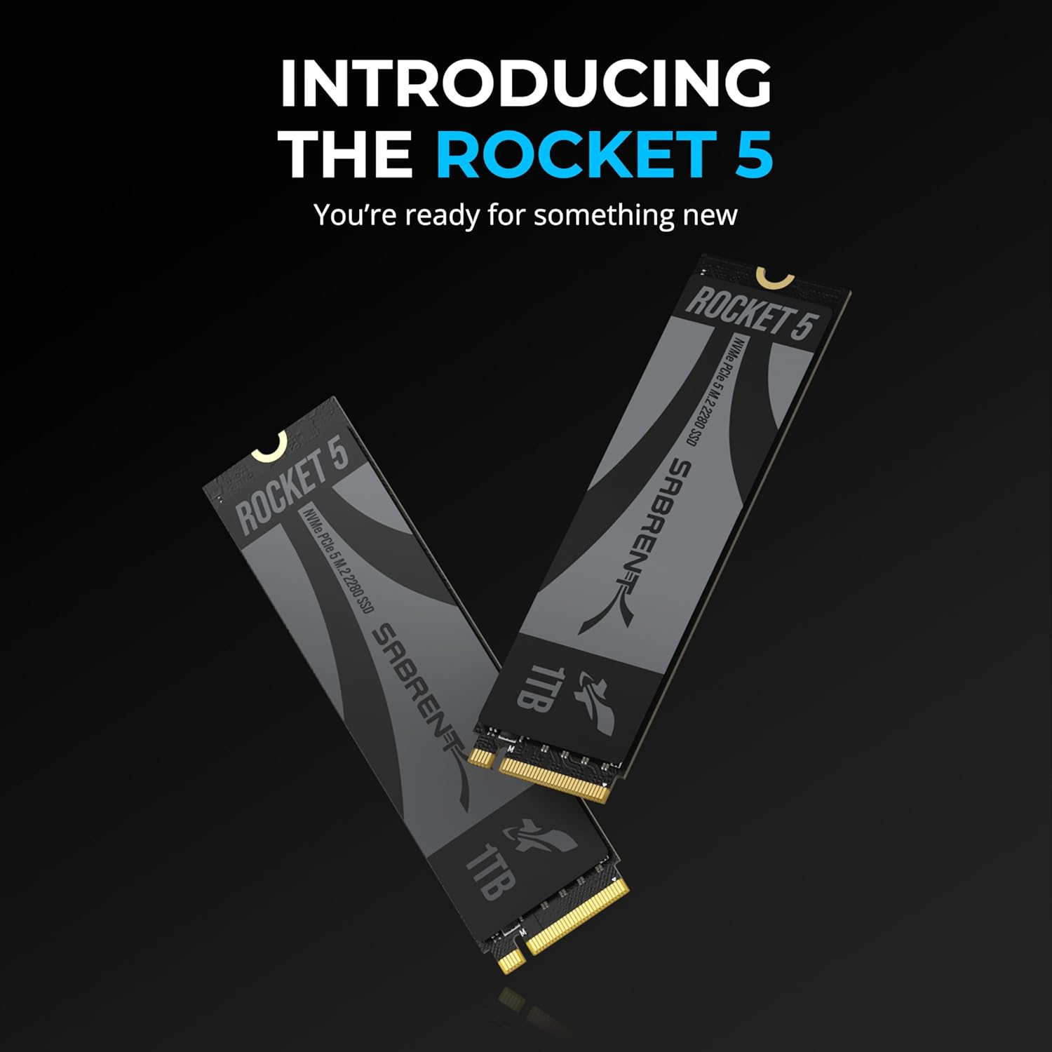 SABRENT Rocket 5 1TB Advanced Performance Internal M.2 Pcie GEN 5 14Gb/S X4 Nvme SSD (SB-RKT5-1TB) image number 2