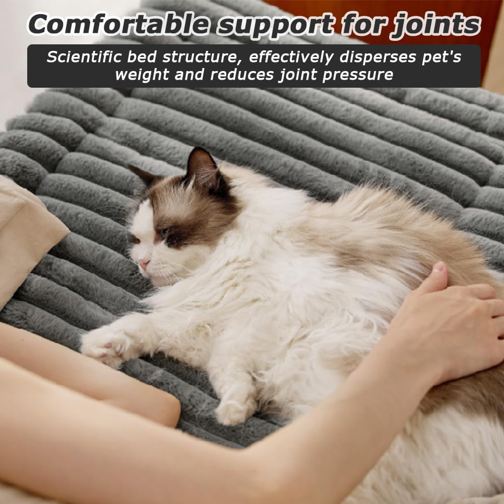 MOTRAIN Self Warming Cat Heating Pad, Extra Warm Thermal Cat Dog Bed with Non-Slip Bottom, Self-Heating Dog Bed Mat Washable Cat Warmer Mat for Feral and Indoor Pets, 30X20Inch, Grey image number 1