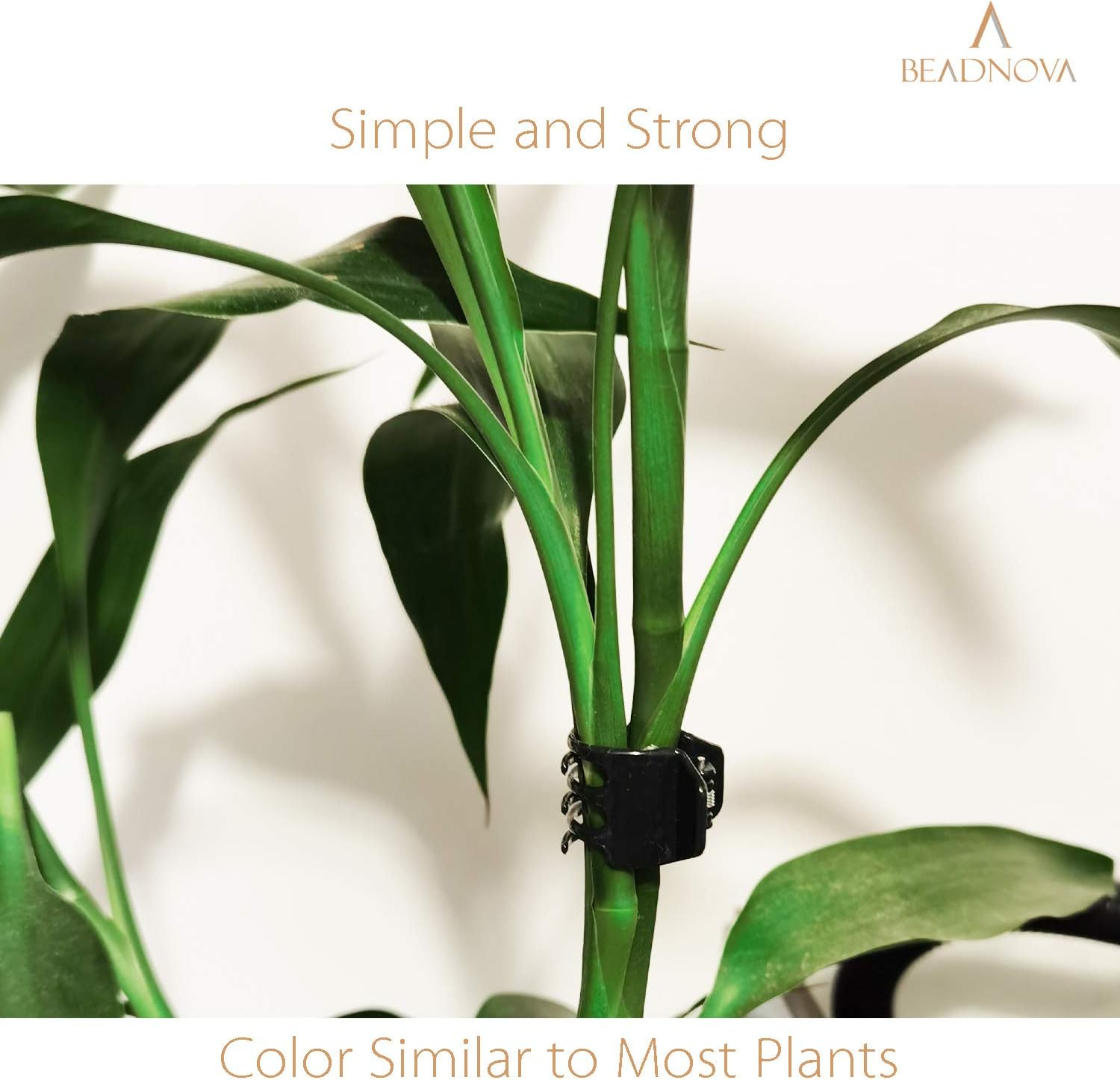 BEADNOVA 100Pcs Orchid Clips Large Orchid Support Clips Vine Clips Plant Clips for Flower Orchid Vine (2Cm, 100PCS) image number 4