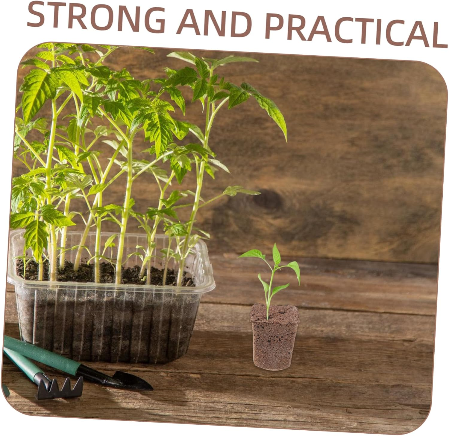 KITANDOVE 40Pcs Hydroponics Seed Starter Blocks Soilless Cultivation Grow Media Cubes for Indoor and Outdoor Gardening 1 Inch Plant Nursery Plugs High Air Permeability image number 2