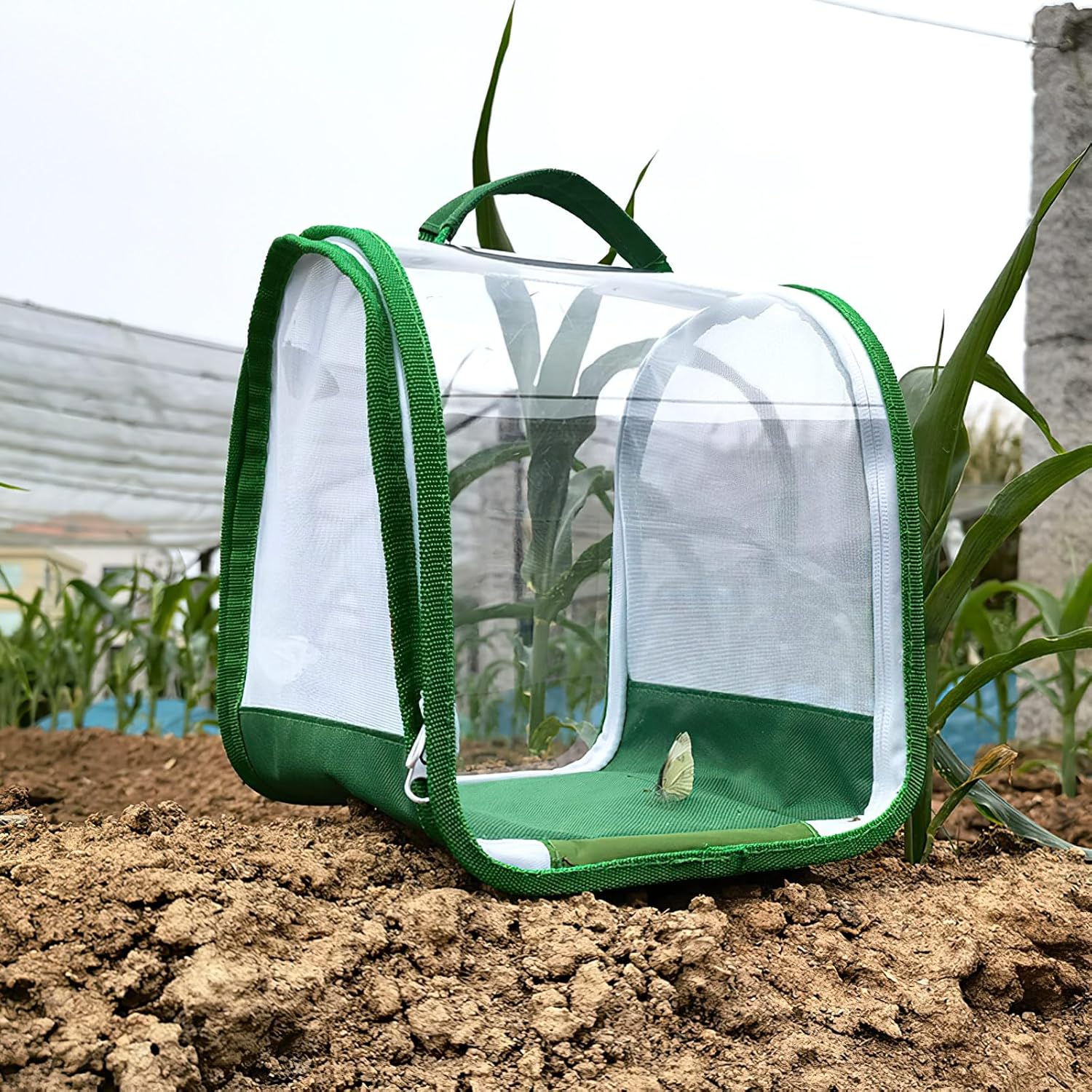 Insect Enclosure,Stick Insect Enclosure,Butterfly House for Caterpillars,Mesh Butterfly Habitat Cage,Butterfly Mesh Cage,Collapsible Insect Mesh Cage for Science Education,Caterpillar Enclosure image number 2