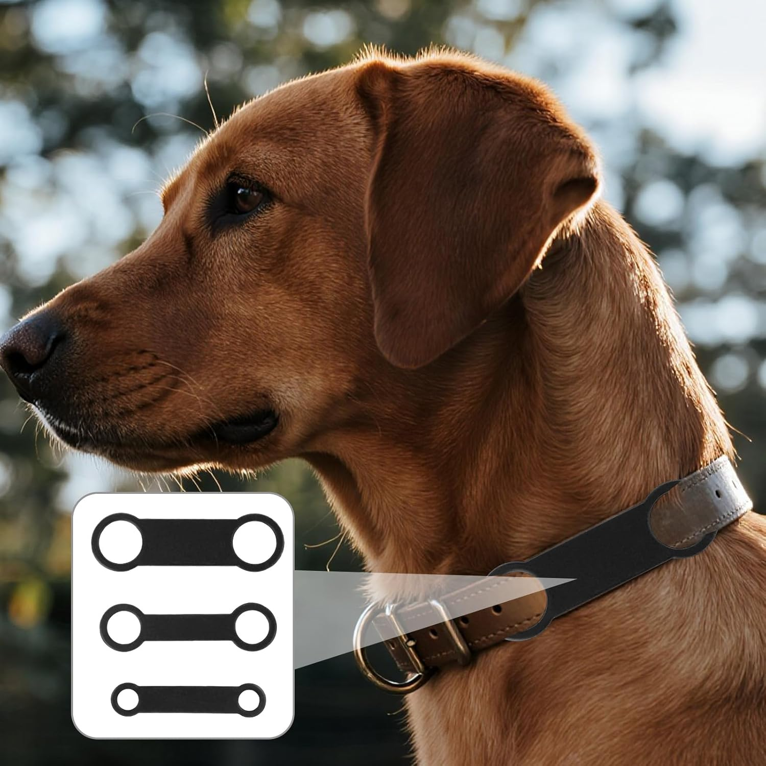 6Pcs Silicone Dog Tags, 3 Sizes Slide on Dog Tags Personalized Puppy Name ID Pet Supplies for Pets Collar (Black)