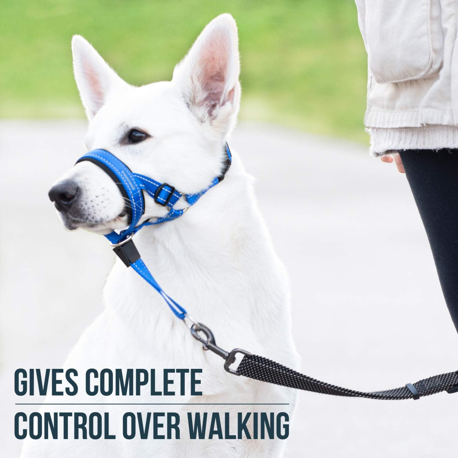 Goodboy Dog Head Halter Blue Nylon (Blue, 2) image number 4