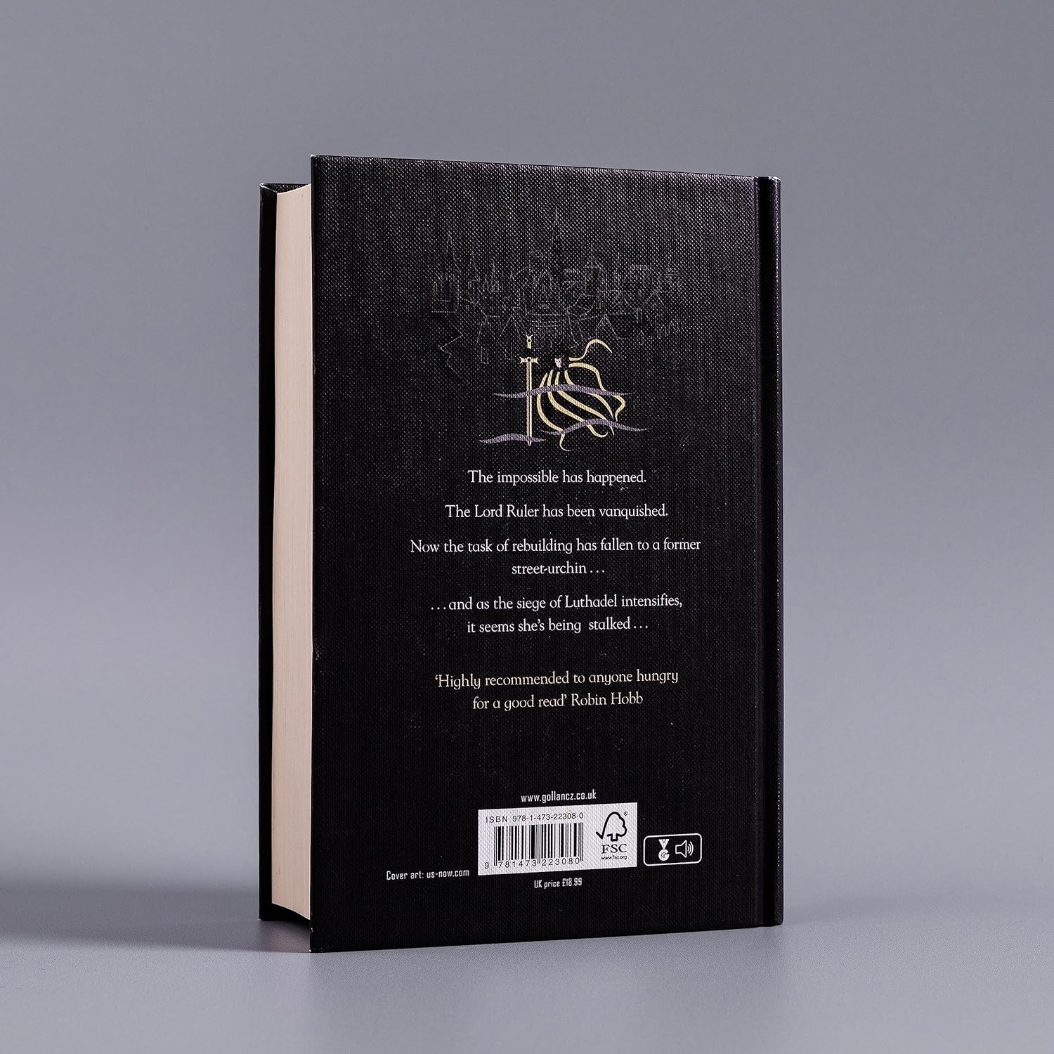 The Well of Ascension: Mistborn Book Two image number 4