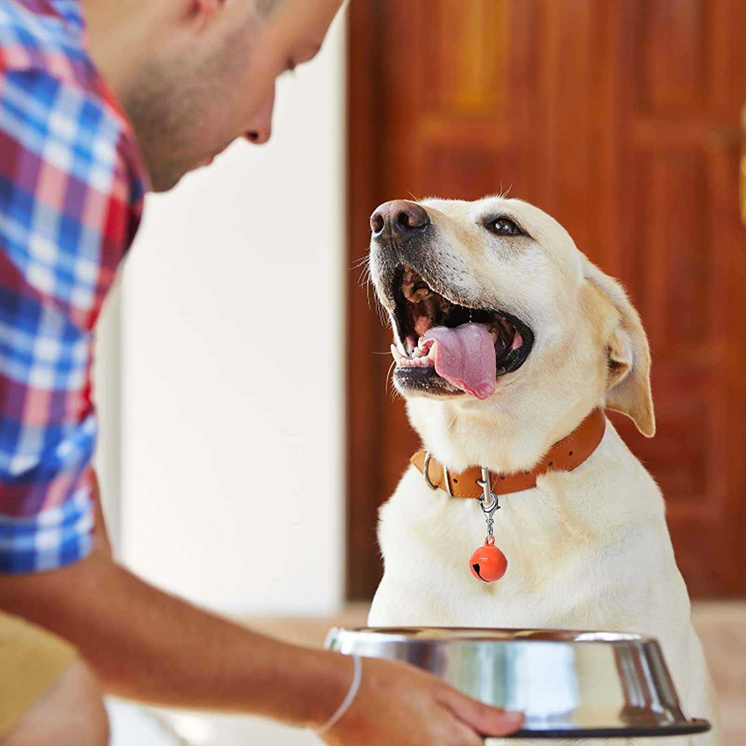 Molain 10 Pcs Cat Dog Collar Bells, Jingle Bell for Cat Collar, Dog Collar Charms, Colourful Pet Small Bells with Clasps, Pet Collar Accessories, Festival Party DIY Crafts Decoration image number 1