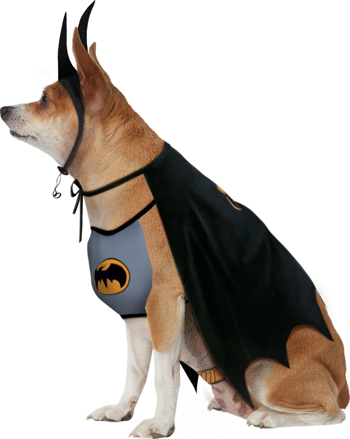 DC Comics Superheroes: Batman Pet Costume for Dogs or Cats by Rubies, Small