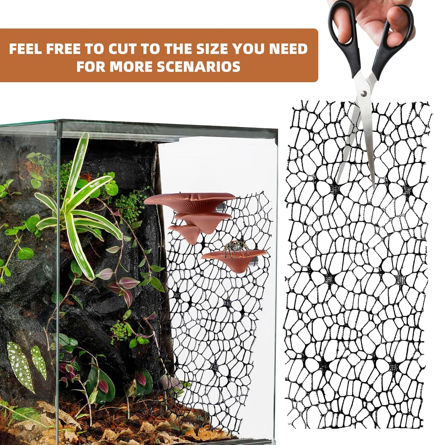 Jumping Spider Hide Habitat Accessories, Brown Jumping Spider Enclosure Mushroom Shelf Magnetically Concealed, Jumping Spider Web with Magnets, Jumping Spider Enclosure Climbing and Feeding Platforms